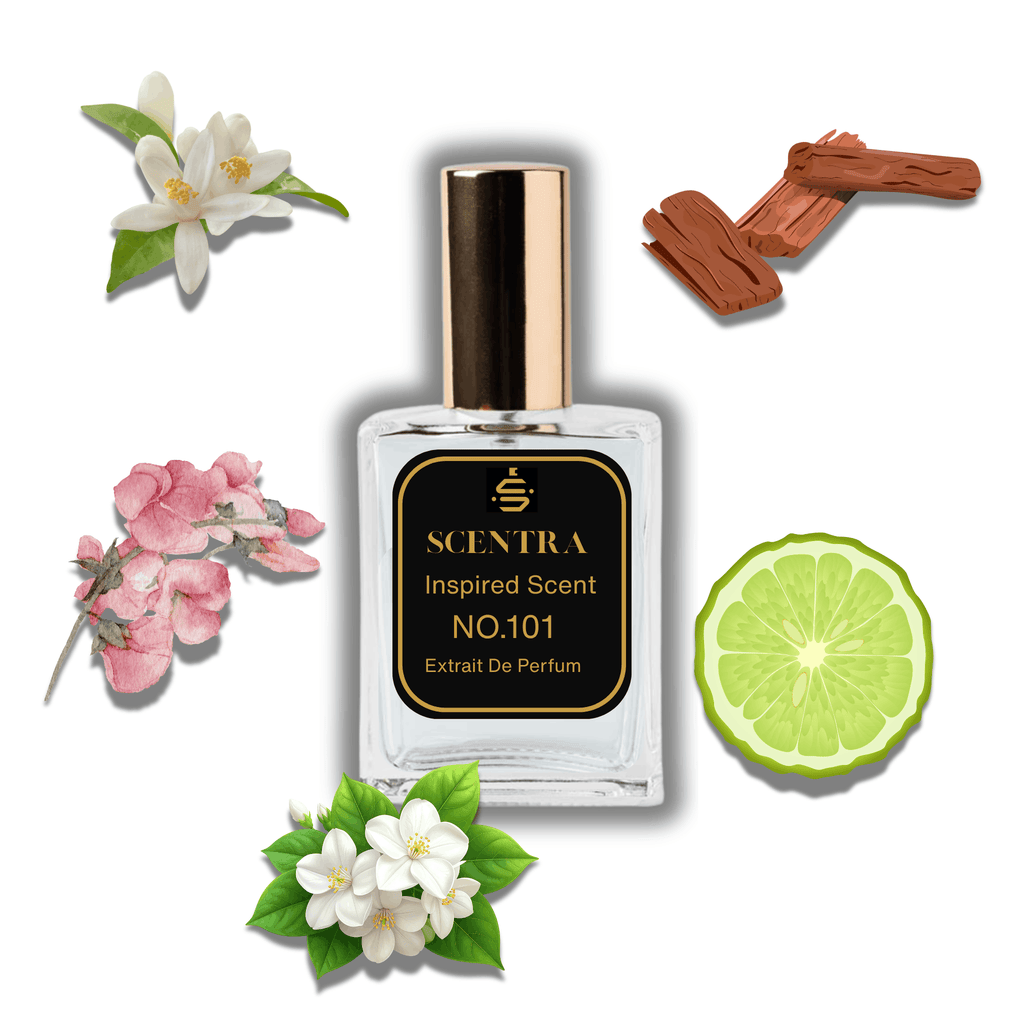 Scentra No.101 perfume bottle inspired by Maison Francis Kurkdjian 724 surrounded by bergamot, jasmine, mock orange, sweet pea, and sandalwood