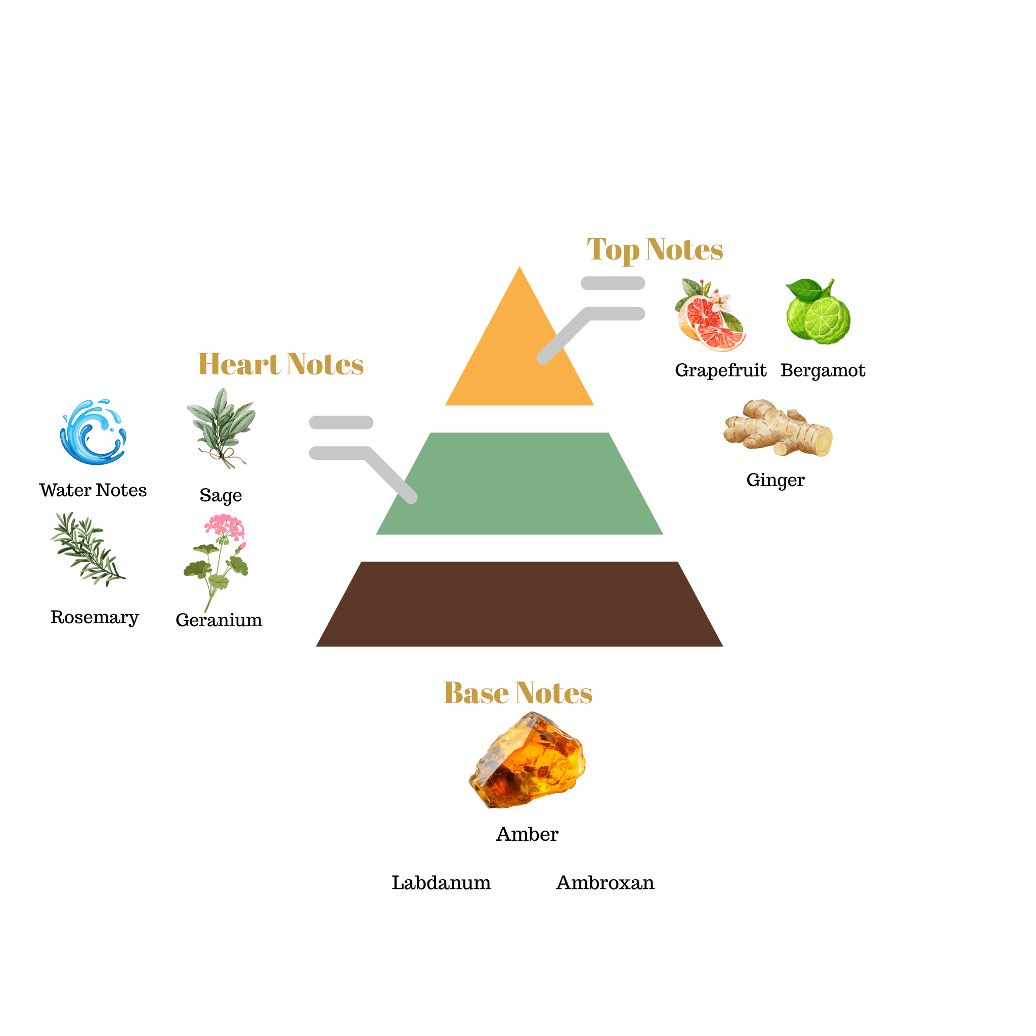 Fragrance note pyramid for Scentra No.49, inspired by Louis Vuitton L'Immensité, showing top, heart, and base notes