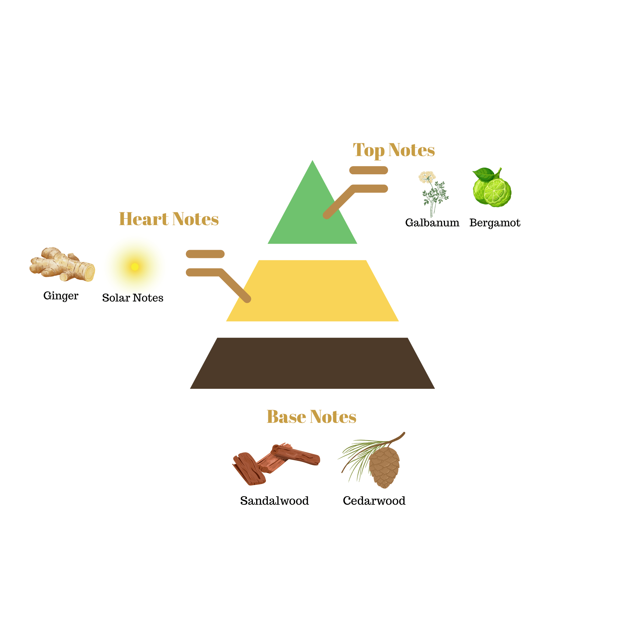 Fragrance note pyramid for Scentra No.50, inspired by Louis Vuitton Lovers, showing top, heart, and base notes