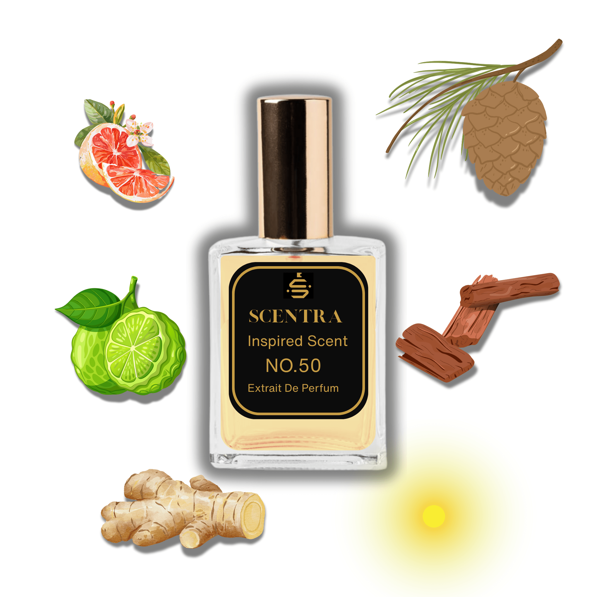 No.50 perfume bottle inspired by Louis Vuitton Lovers surrounded by citrus, ginger, and pine cone