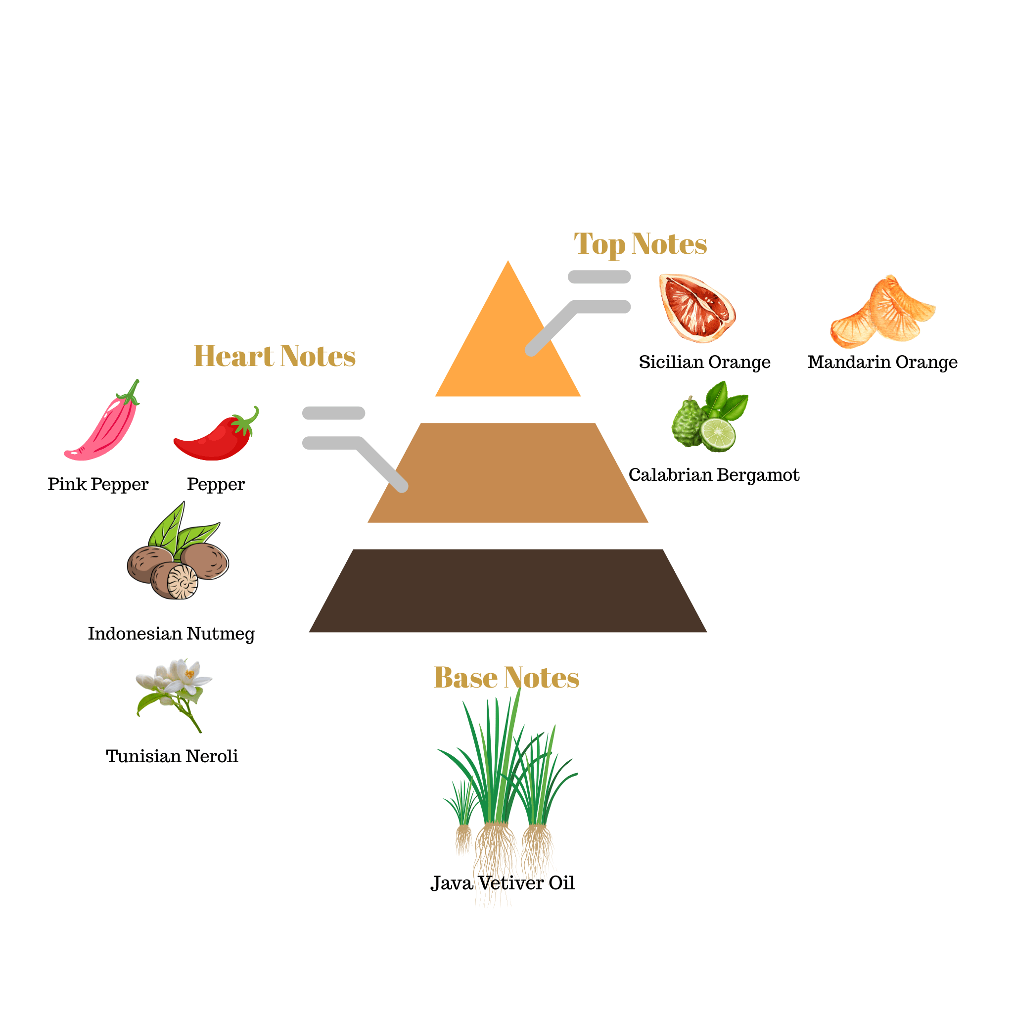Fragrance note pyramid for Scentra No.51, inspired by Louis Vuitton Météore, showing top, heart, and base notes