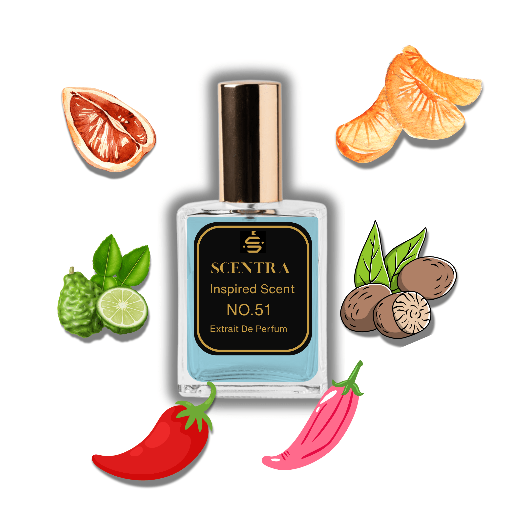 Scentra No.51 perfume bottle inspired by Louis Vuitton Météore surrounded by citrus, chili pepper, and nutmeg
