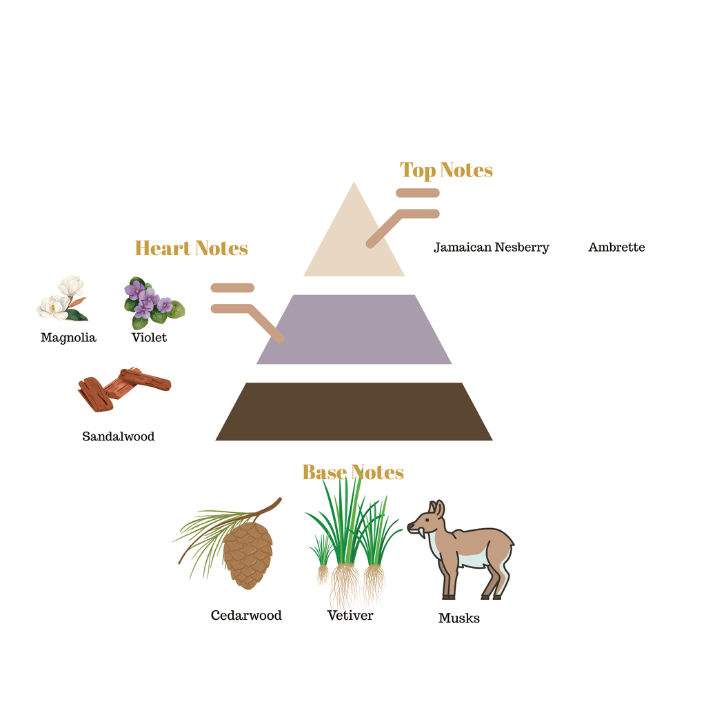 Fragrance note pyramid for Scentra No.52, inspired by Byredo Mojave Ghost, showing top, heart, and base notes
