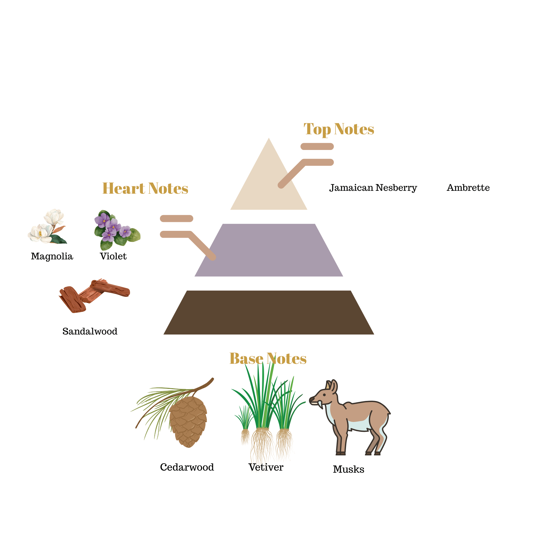 Fragrance note pyramid for Scentra No.52, inspired by Byredo Mojave Ghost, showing top, heart, and base notes