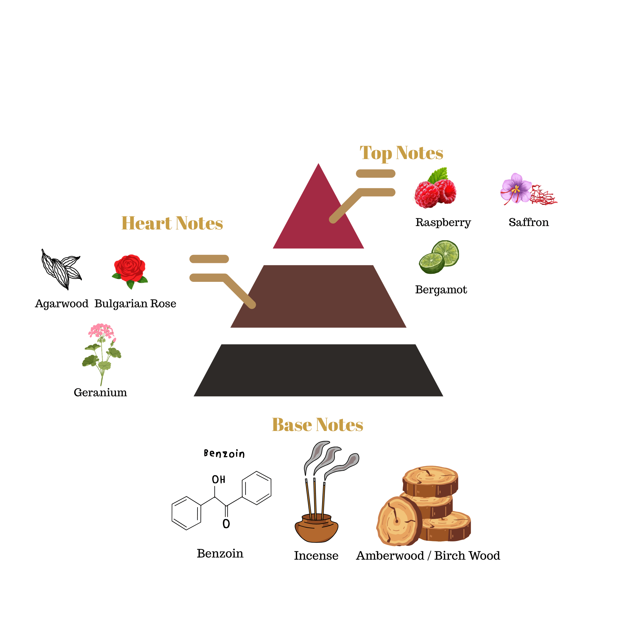 Fragrance note pyramid for Scentra No.53, inspired by Louis Vuitton Ombre Nomade, showing top, heart, and base notes