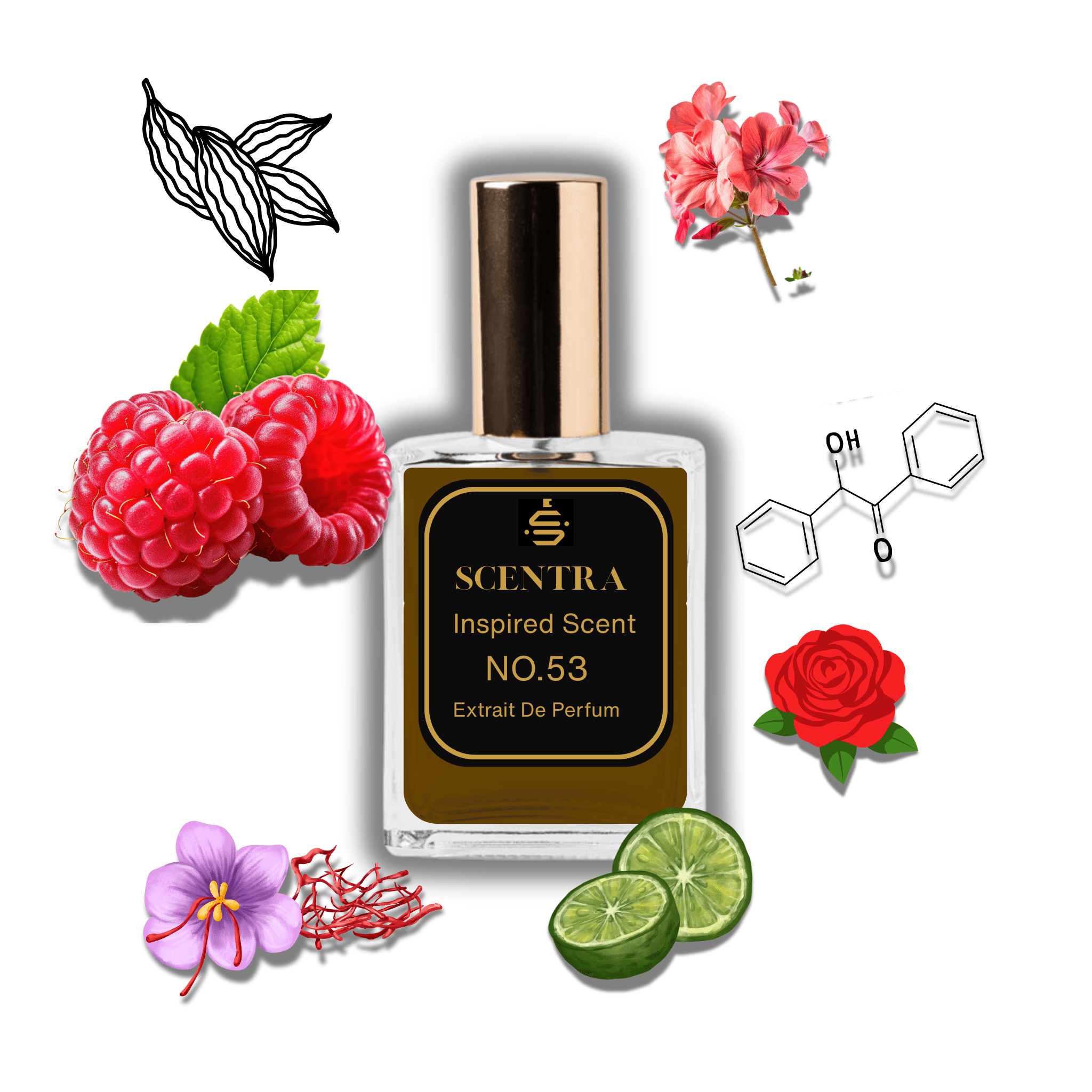 Scentra No.53 perfume bottle inspired by Louis Vuitton Ombre Nomade surrounded by raspberry, rose, saffron, and lime