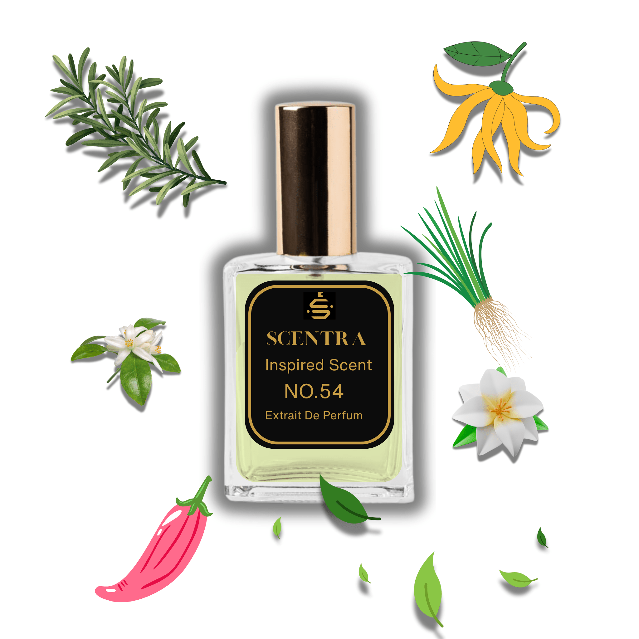 Scentra No.54 perfume bottle inspired by Amouage Reflection Man surrounded by rosemary, ylang-ylang, jasmine, and pink pepper