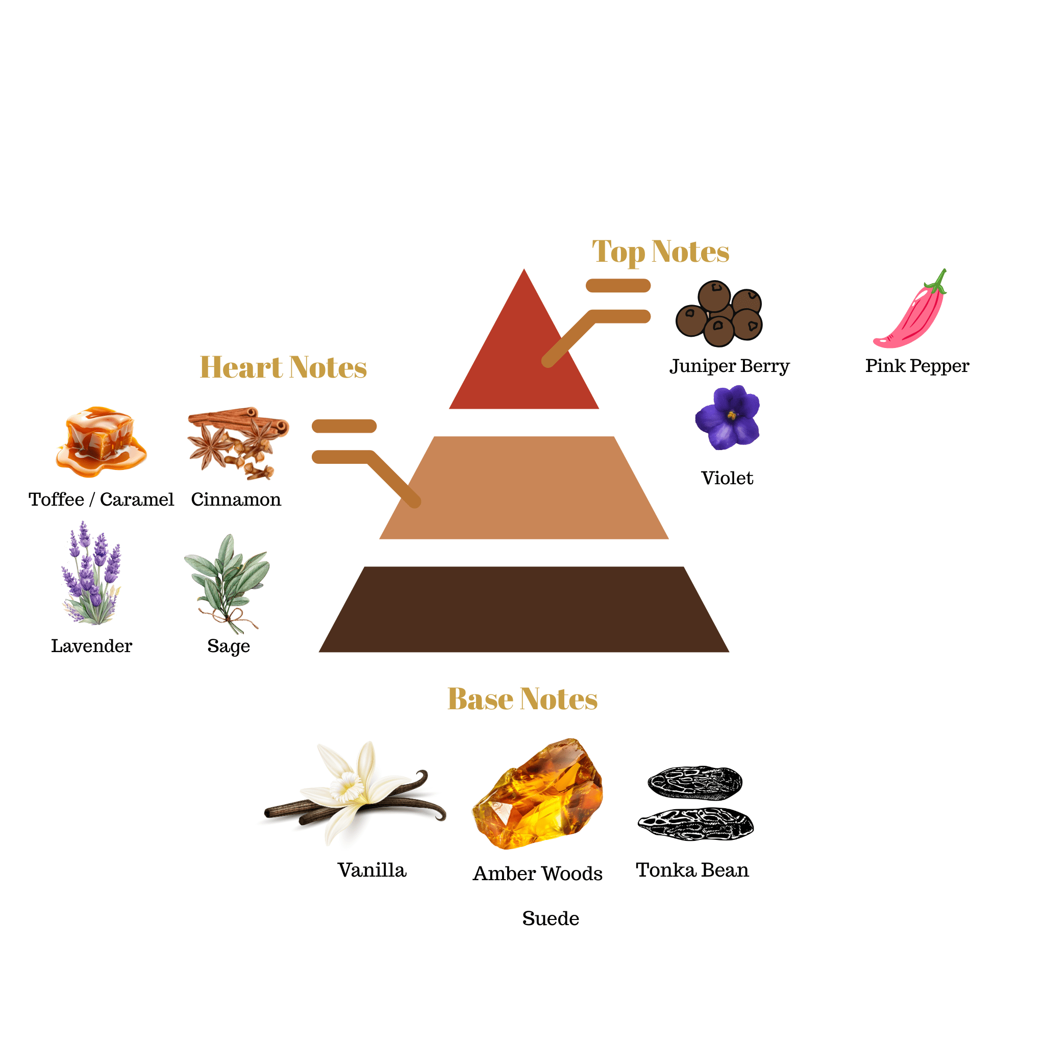 Fragrance note pyramid for Scentra No.55, inspired by Armani Stronger With You Intensely, showing top, heart, and base notes