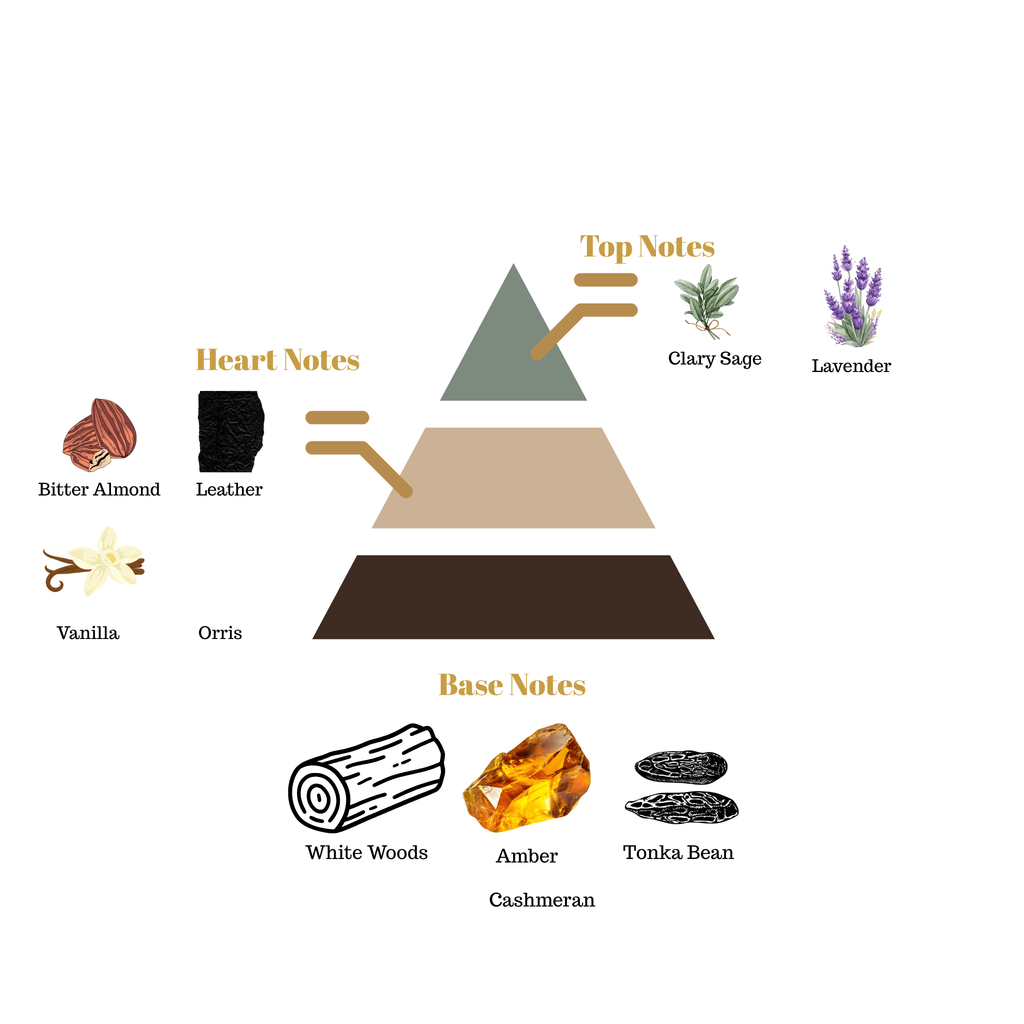 Fragrance note pyramid for Scentra No.56, inspired by Tom Ford's leather Private Blend fragrance, showing top, heart, and base notes