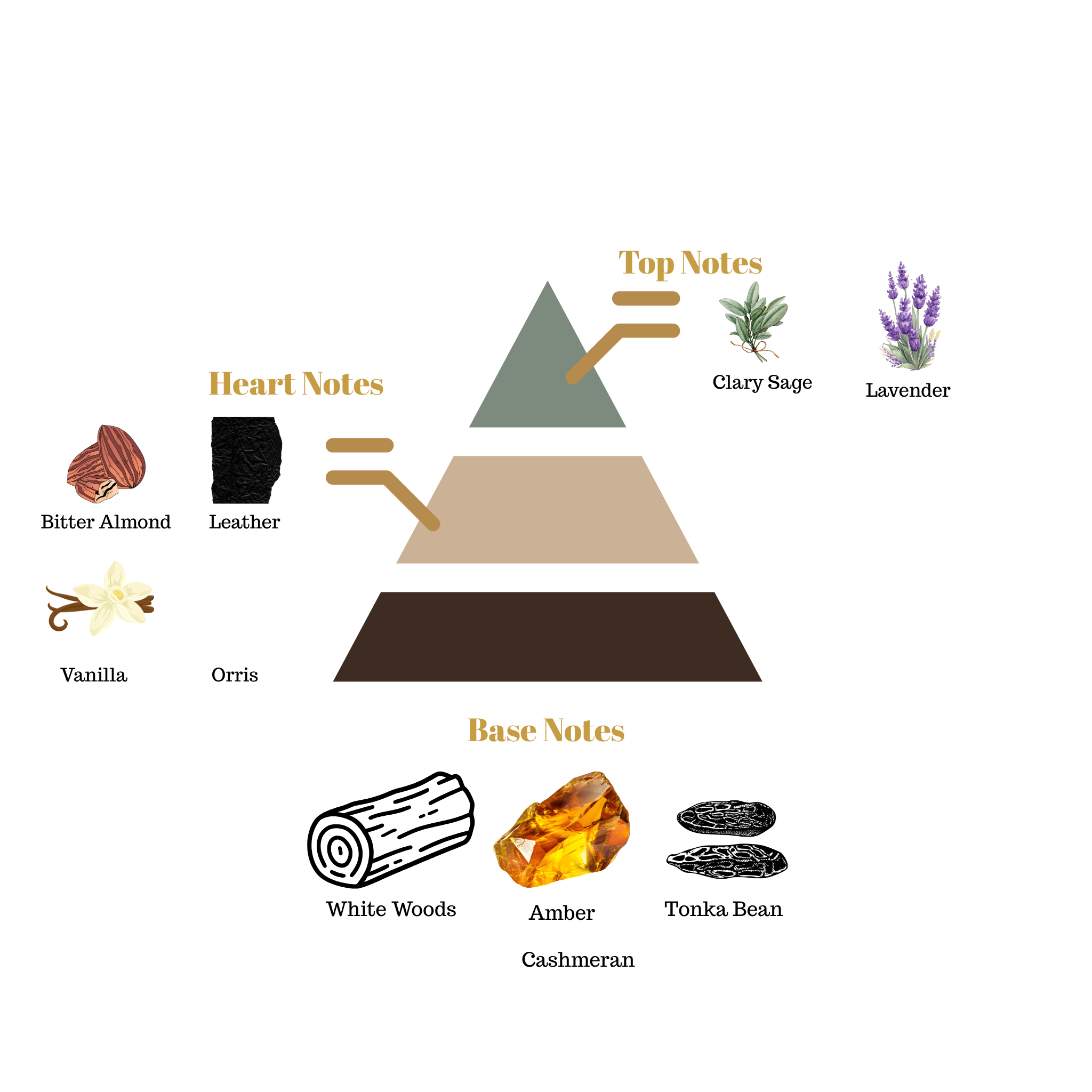 Fragrance note pyramid for Scentra No.56, inspired by Tom Ford's leather Private Blend fragrance, showing top, heart, and base notes