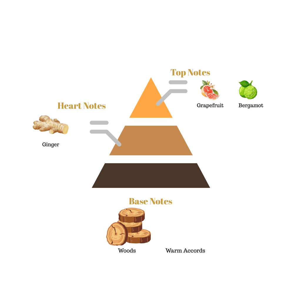 Fragrance note pyramid for Scentra No.57, inspired by Louis Vuitton Symphony, showing top, heart, and base notes