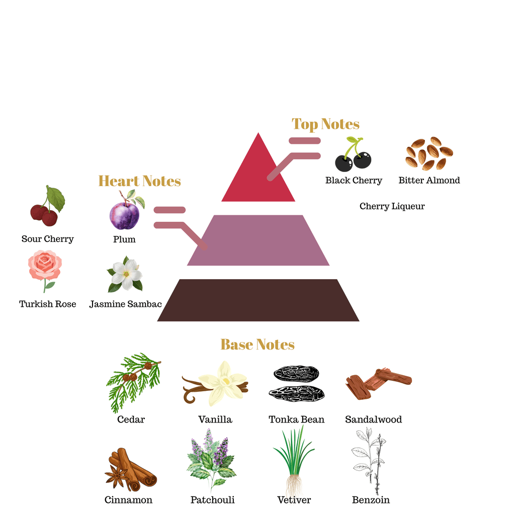 Fragrance note pyramid for Scentra No.58, inspired by Tom Ford Lost Cherry, showing top, heart, and base notes