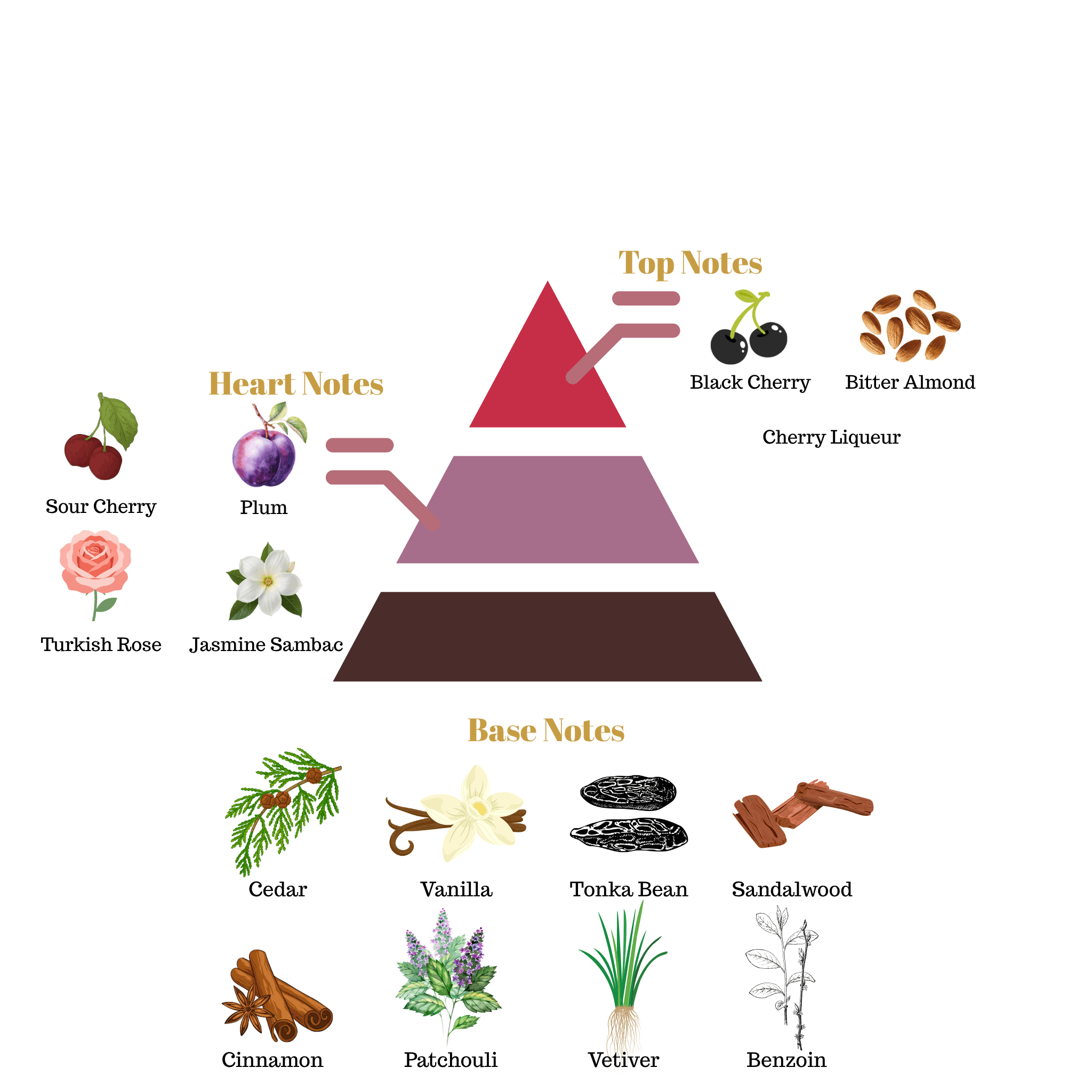 Fragrance note pyramid for Scentra No.58, inspired by Tom Ford Lost Cherry, showing top, heart, and base notes