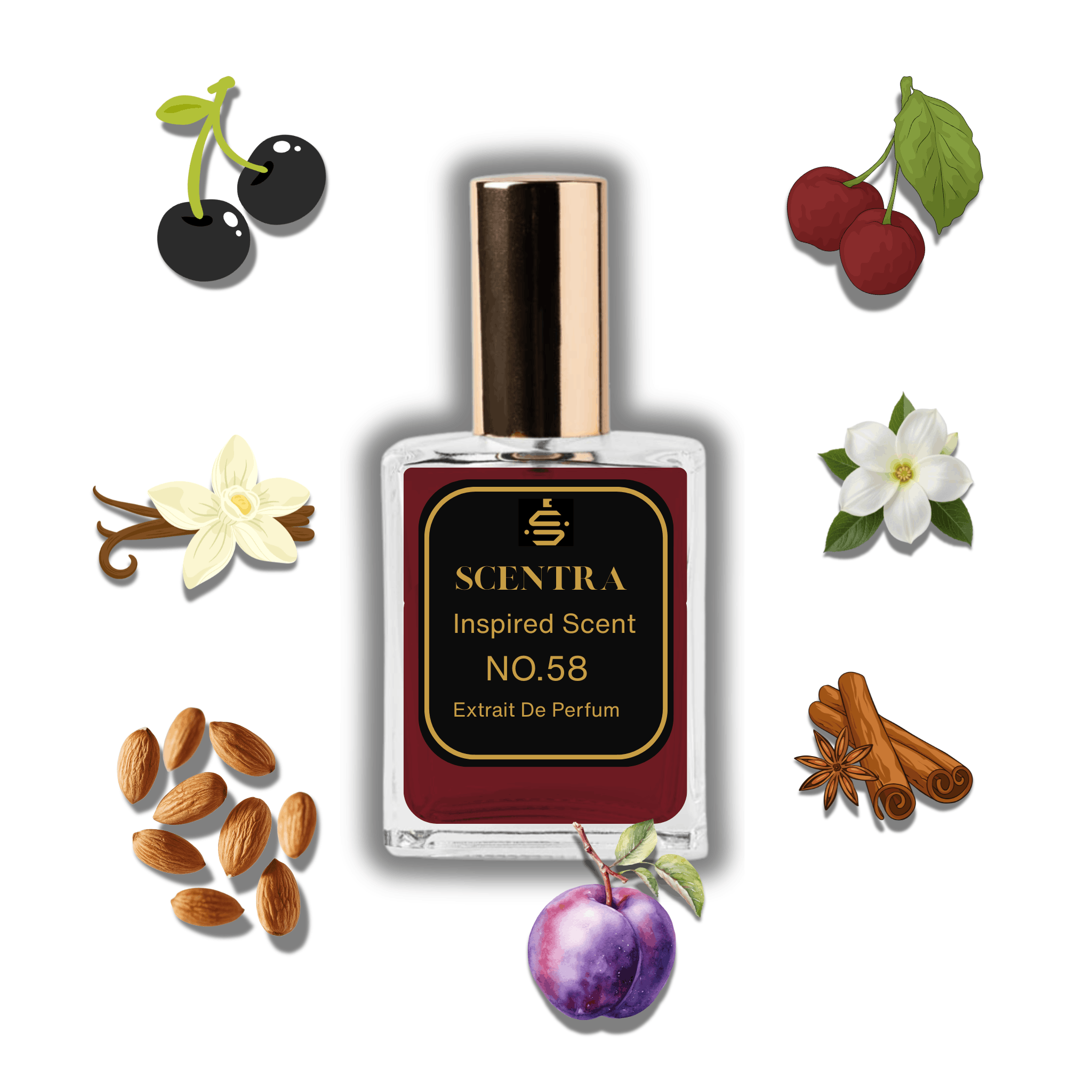 Scentra No.58 perfume bottle inspired by Tom Ford Lost Cherry surrounded by cherries, almonds, vanilla, cinnamon, and plum