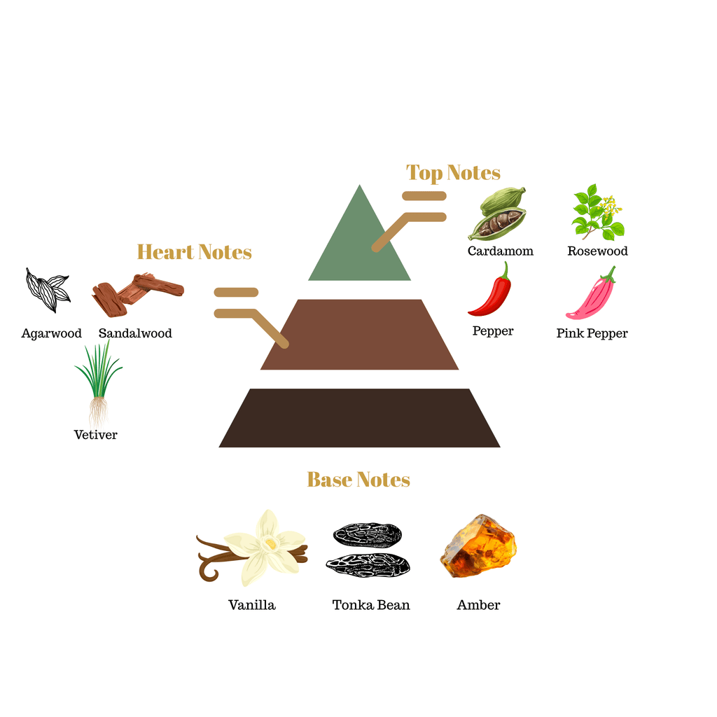 Fragrance note pyramid for Scentra No.59, inspired by Tom Ford Oud Wood, showing top, heart, and base notes