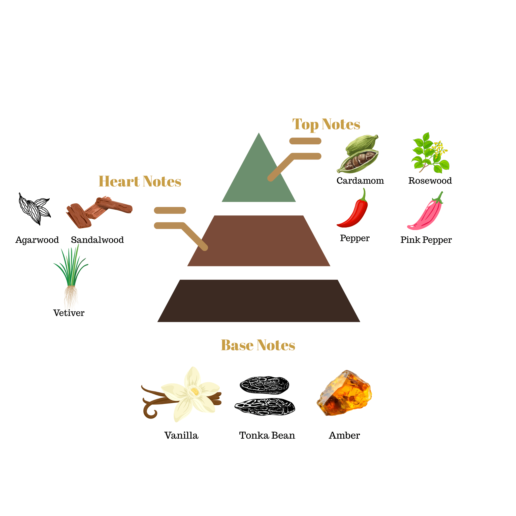 Fragrance note pyramid for Scentra No.59, inspired by Tom Ford Oud Wood, showing top, heart, and base notes