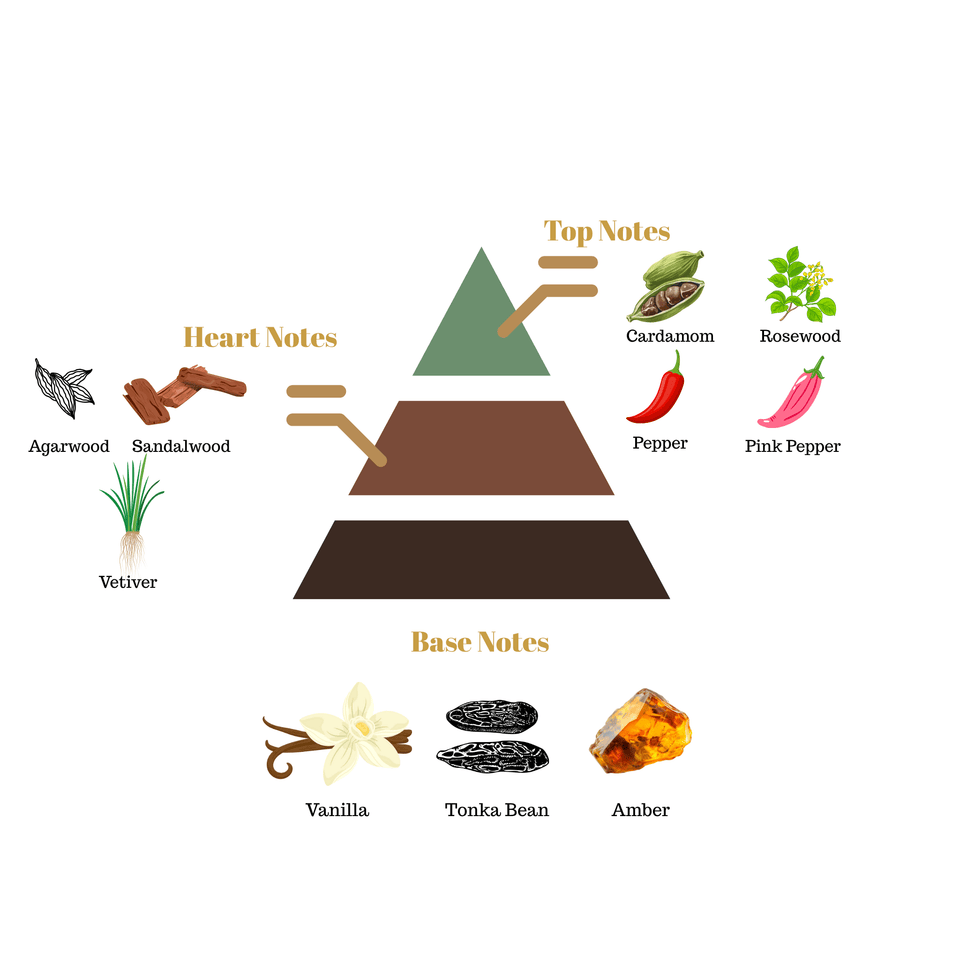 Fragrance note pyramid for Scentra No.59, inspired by Tom Ford Oud Wood, showing top, heart, and base notes