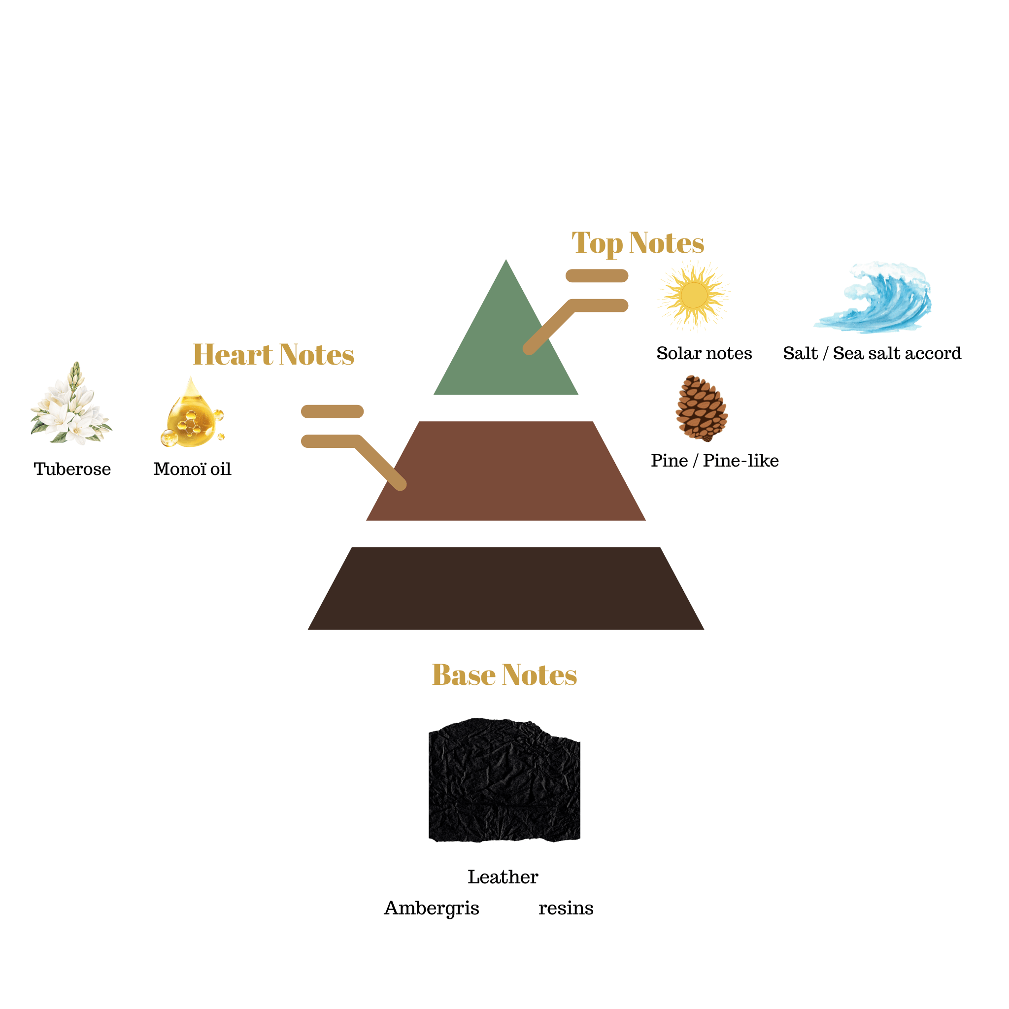 Fragrance note pyramid for Scentra No.60, inspired by Paco Rabanne 1 Million (New), showing top, heart, and base notes