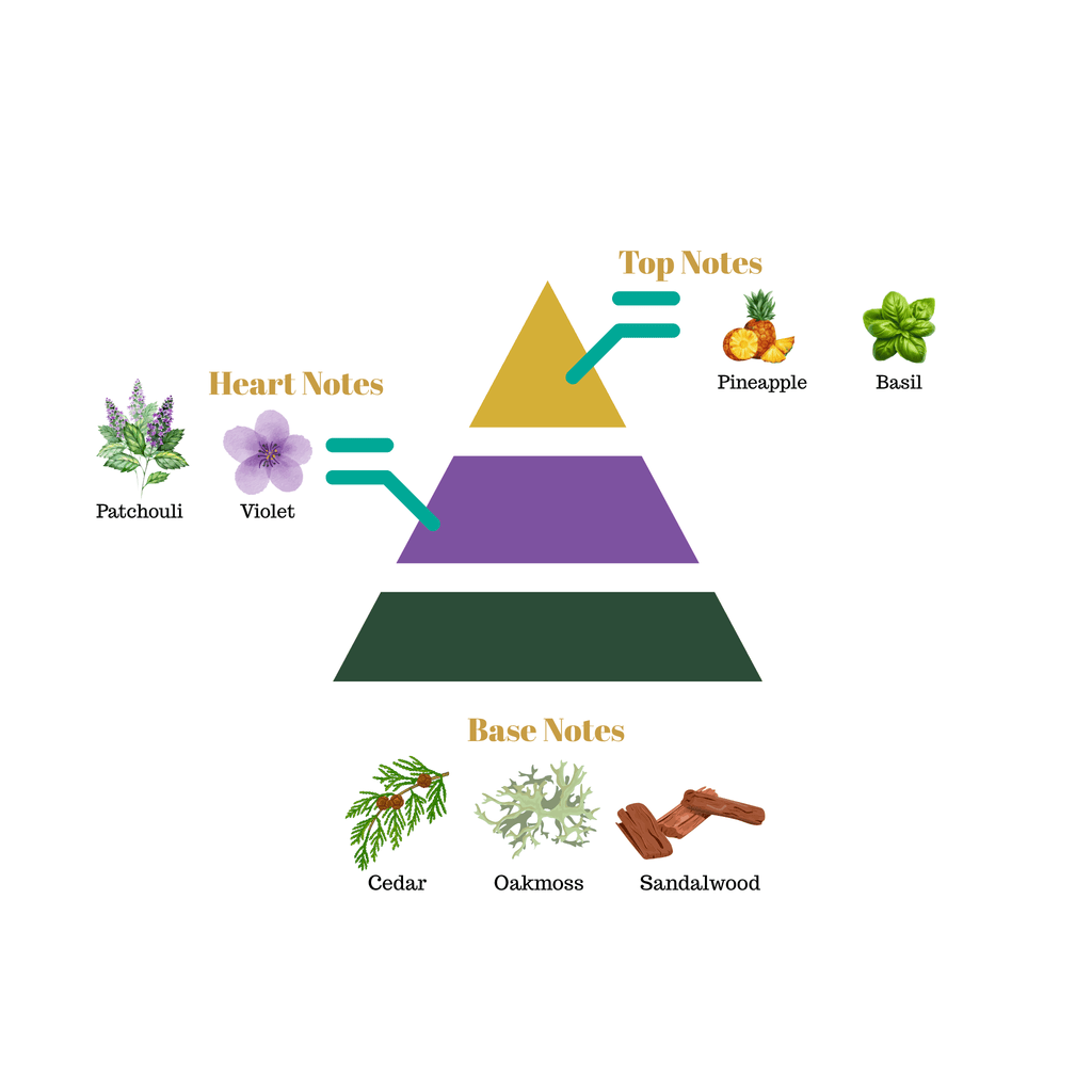 Fragrance note pyramid for Scentra No.61, inspired by Bond No. 9 Riverside Drive, showing top, heart, and base notes