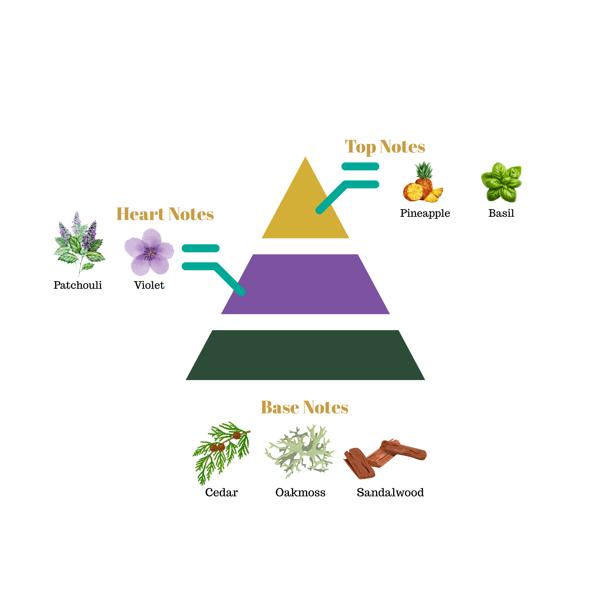 Fragrance note pyramid for Scentra No.61, inspired by Bond No. 9 Riverside Drive, showing top, heart, and base notes
