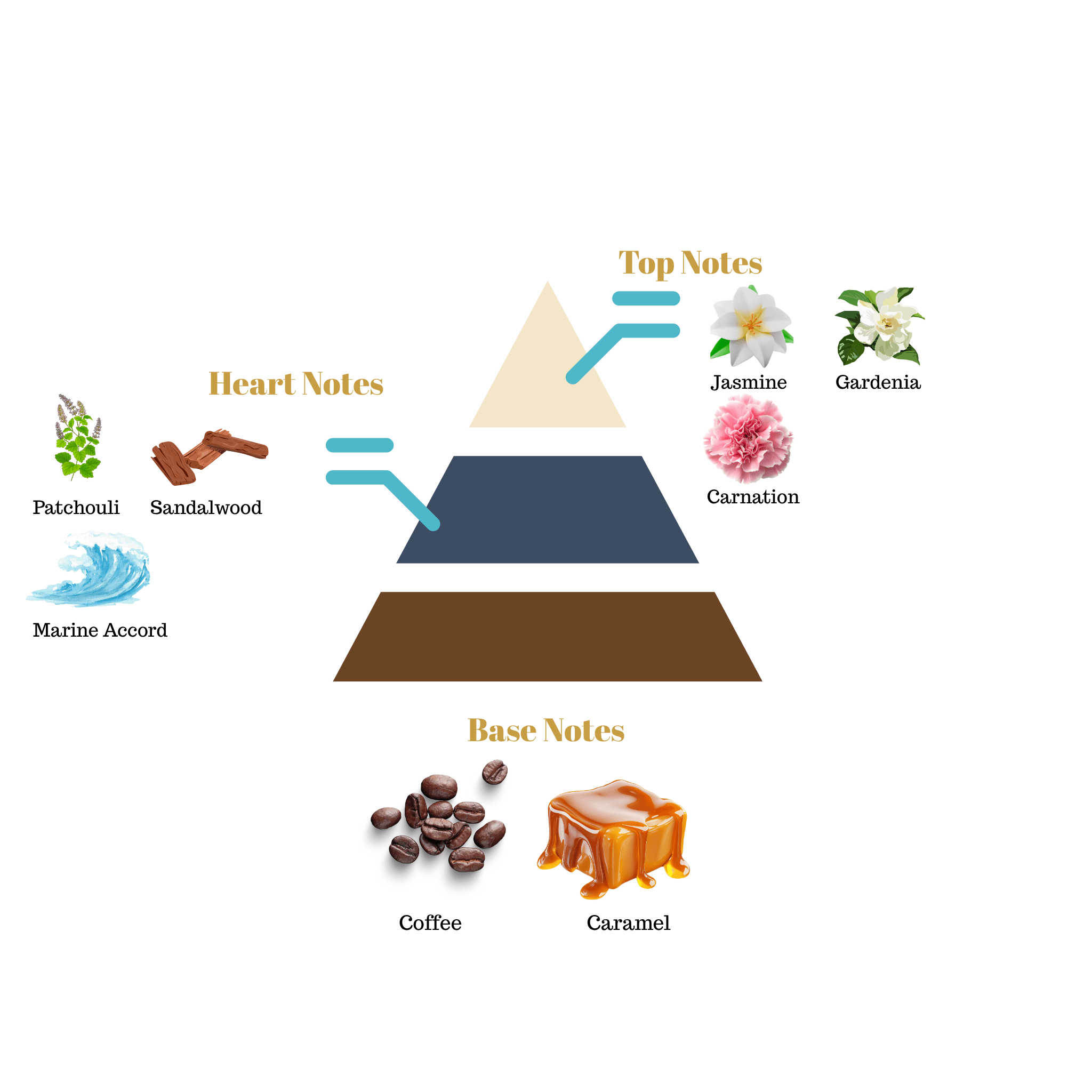 Fragrance note pyramid for Scentra No.62, inspired by Bond No. 9 New York Nights, showing top, heart, and base notes