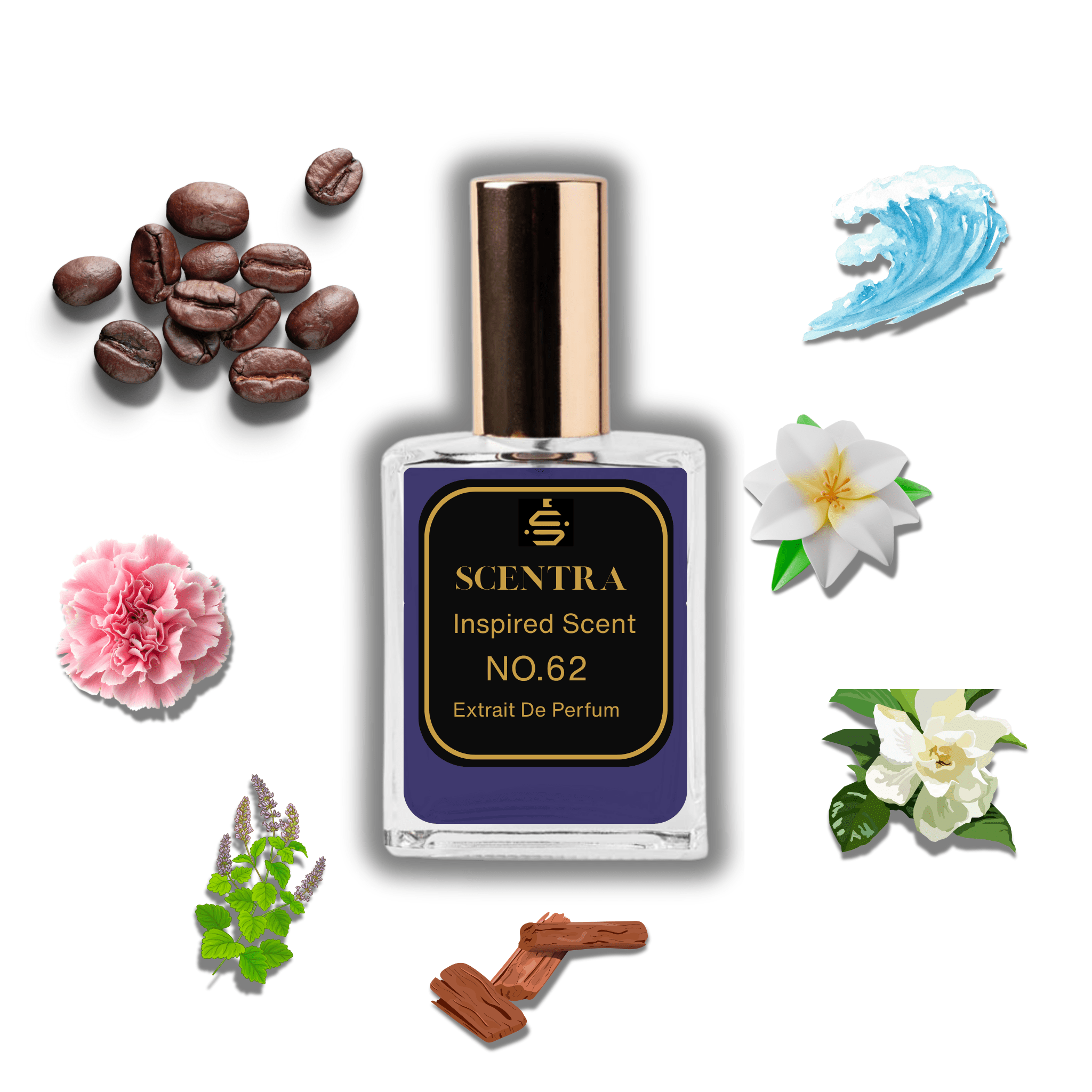 Scentra No.62 perfume bottle inspired by Bond No. 9 New York Nights surrounded by coffee beans, gardenia, carnation, and sandalwood