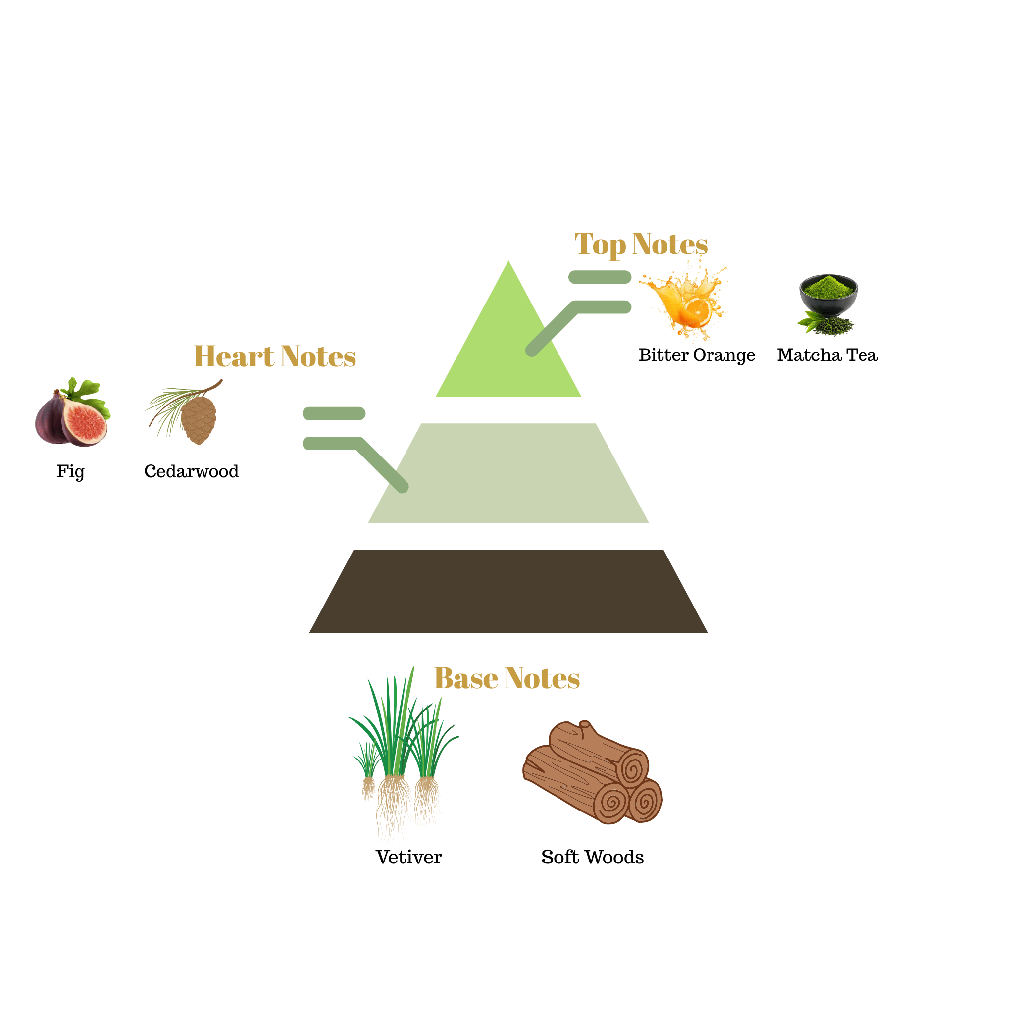 Fragrance note pyramid for Scentra No.63, inspired by Le Labo Matcha 26, showing top, heart, and base notes