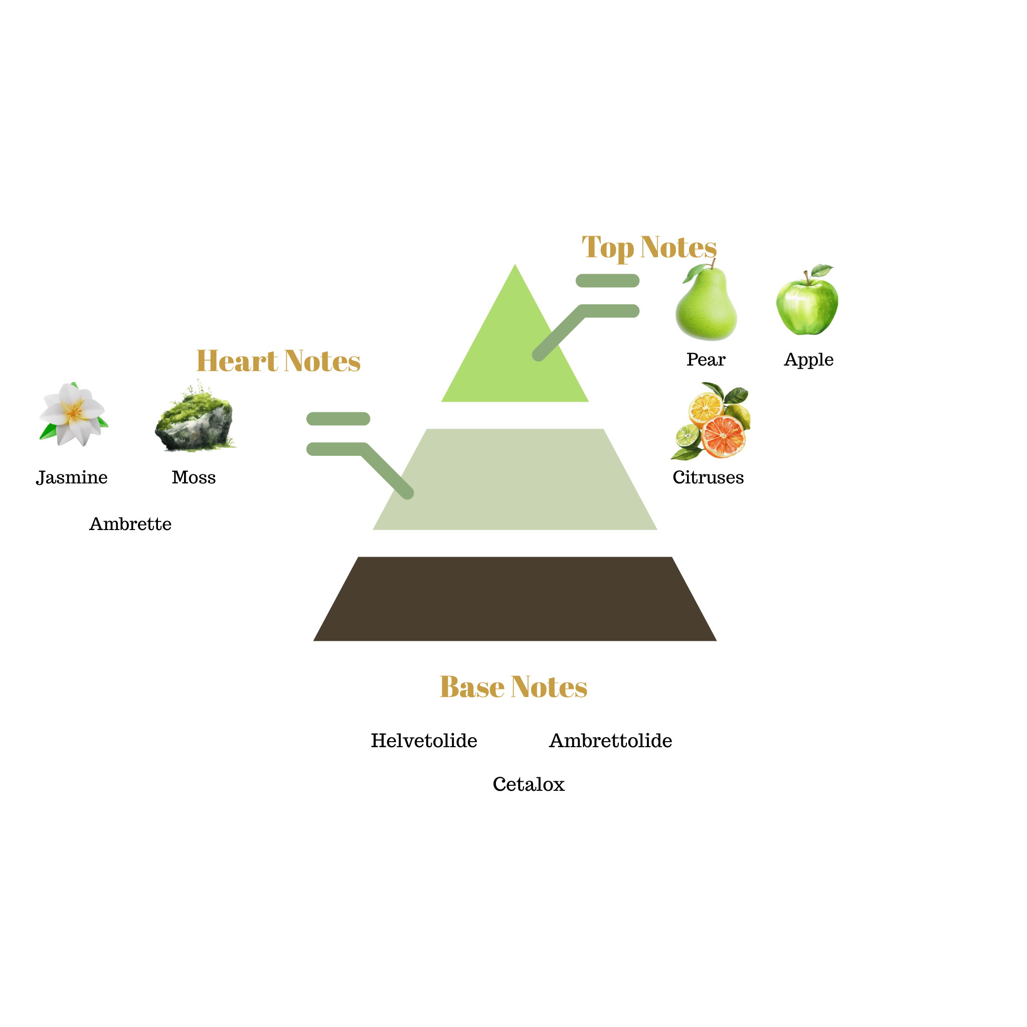 Fragrance note pyramid for Scentra No.64, inspired by Le Labo Another 13, showing top, heart, and base notes