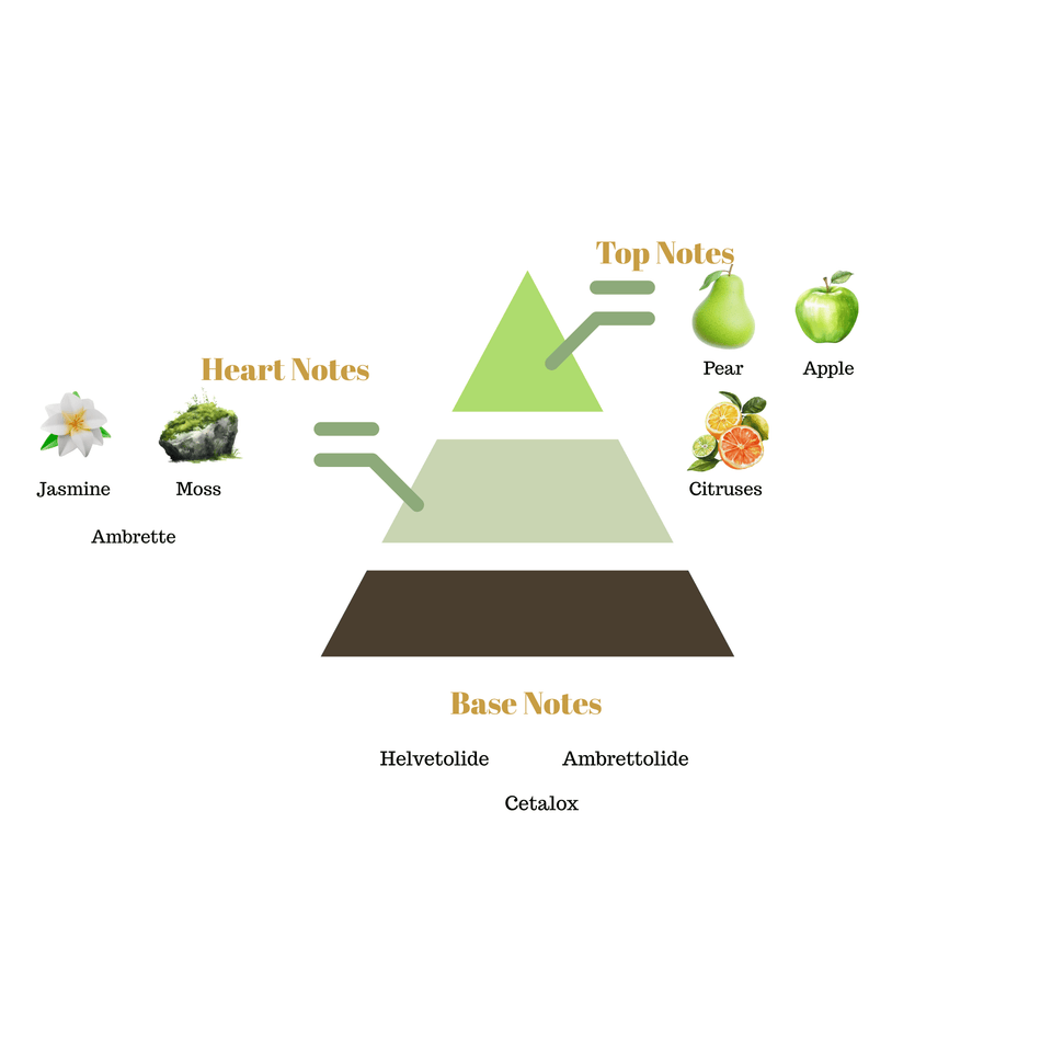 Fragrance note pyramid for Scentra No.64, inspired by Le Labo Another 13, showing top, heart, and base notes
