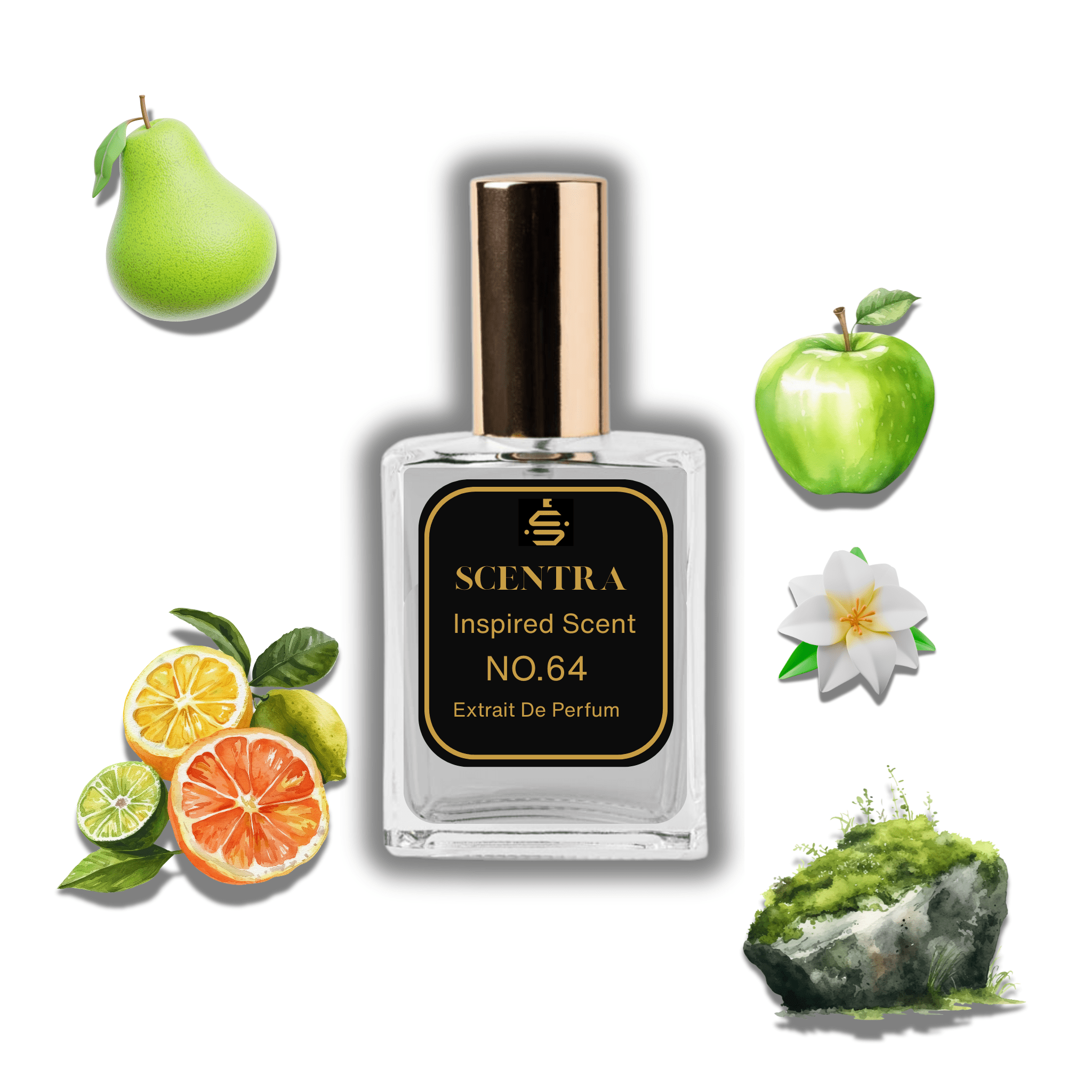 Scentra No.64 perfume bottle inspired by Le Labo Another 13 surrounded by pear, apple, citrus, jasmine, and moss