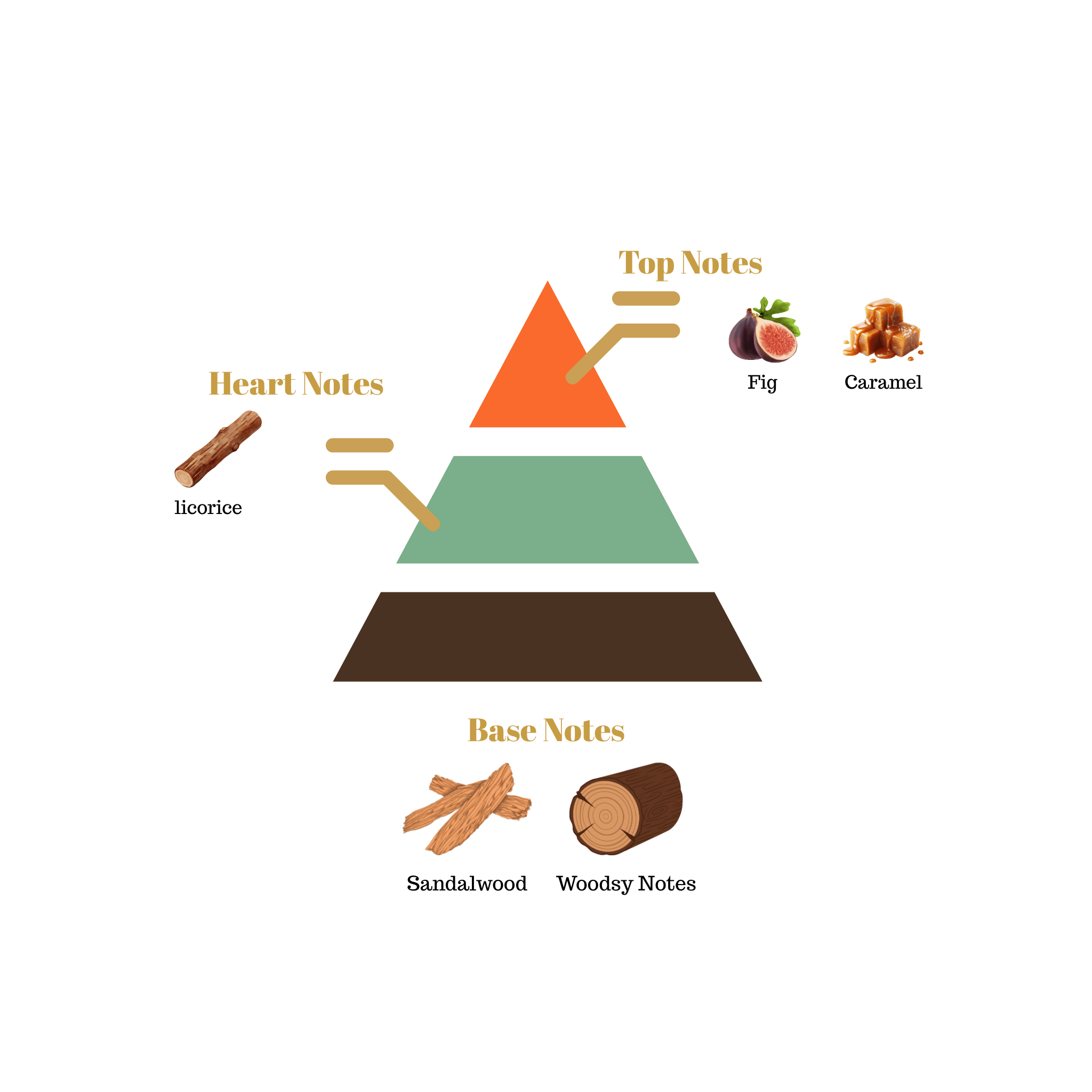Fragrance note pyramid for Scentra No.65, inspired by Dolce & Gabbana K, showing top, heart, and base notes