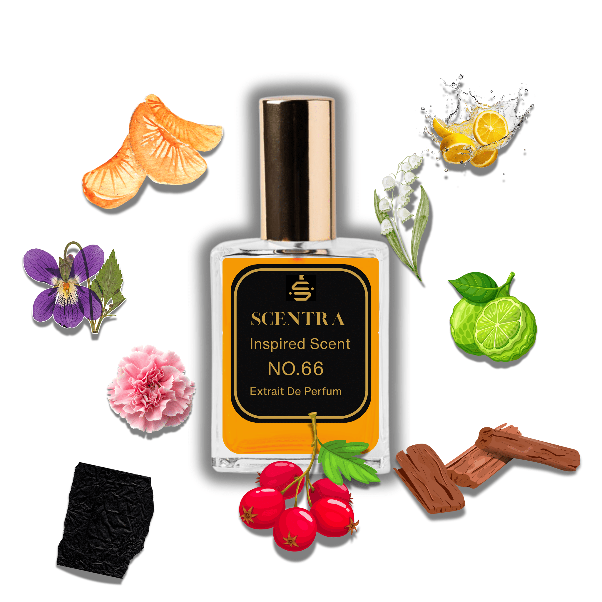 Scentra No.66 perfume bottle inspired by Dior Fahrenheit surrounded by mandarin, violet, carnation, lemon, leather, and sandalwood