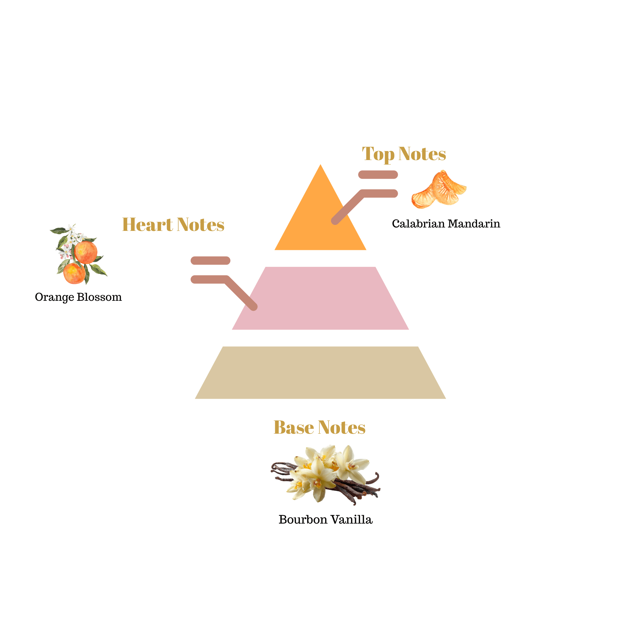 Fragrance note pyramid for Scentra No.67, inspired by Valentino Born in Roma Pink, showing top, heart, and base notes