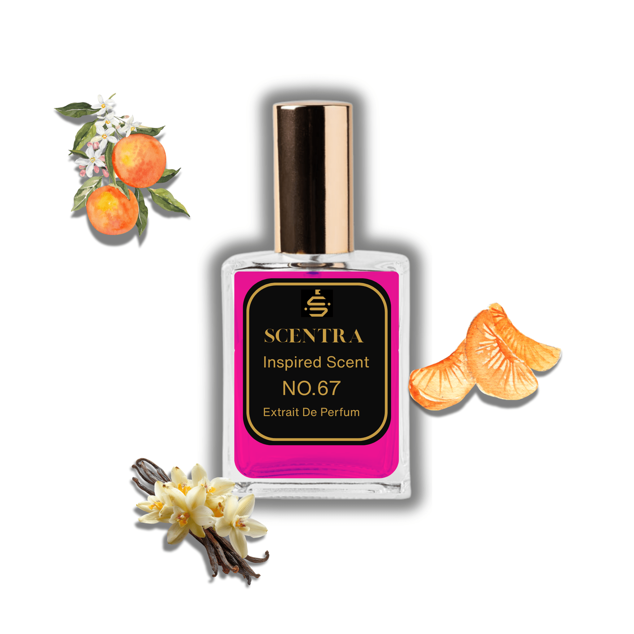 Scentra No.67 perfume bottle inspired by Valentino Born in Roma Pink surrounded by mandarin, orange blossom, and vanilla