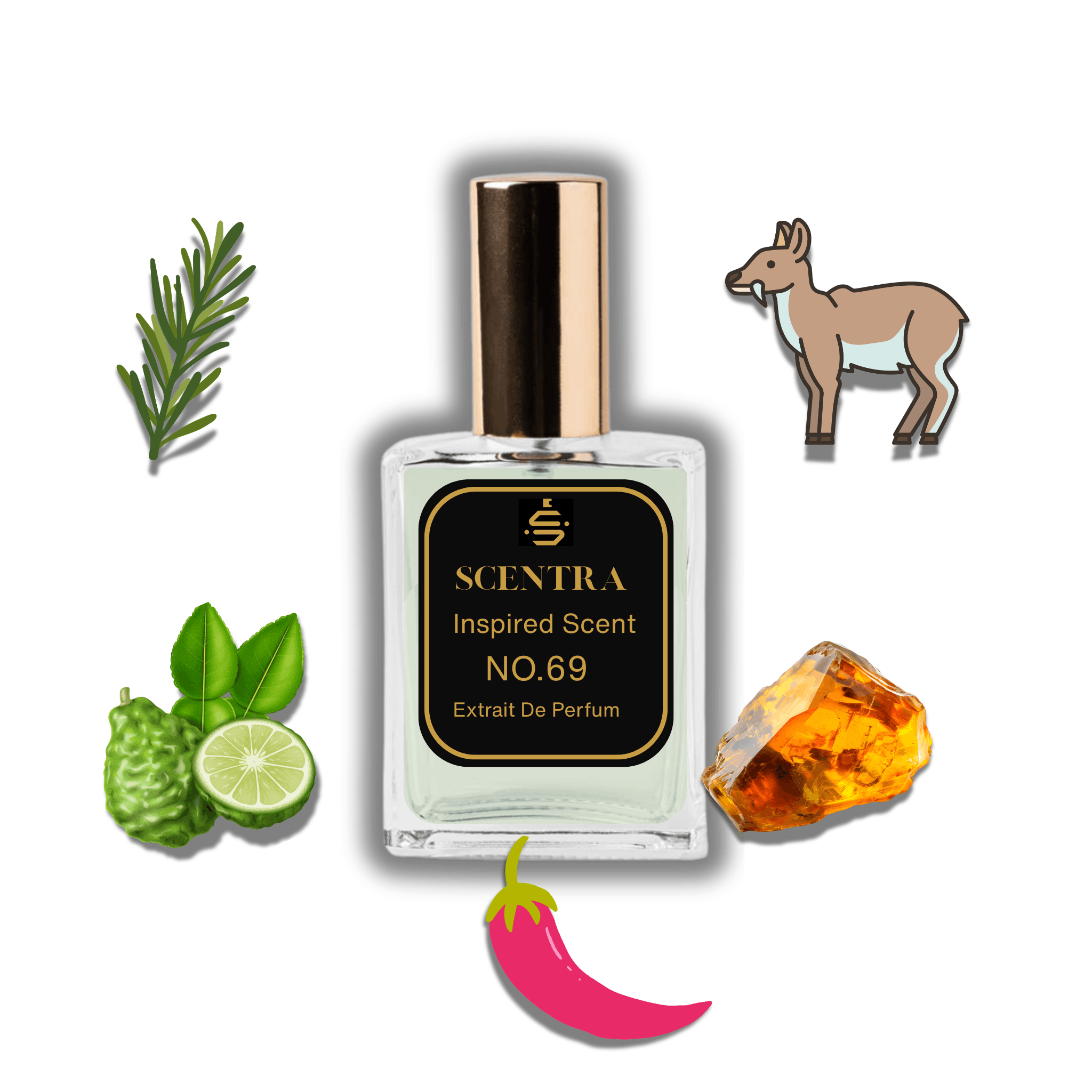 Scentra No.69 perfume bottle inspired by Gissah Imperial Valley surrounded by rosemary, bergamot, amber, and pink pepper