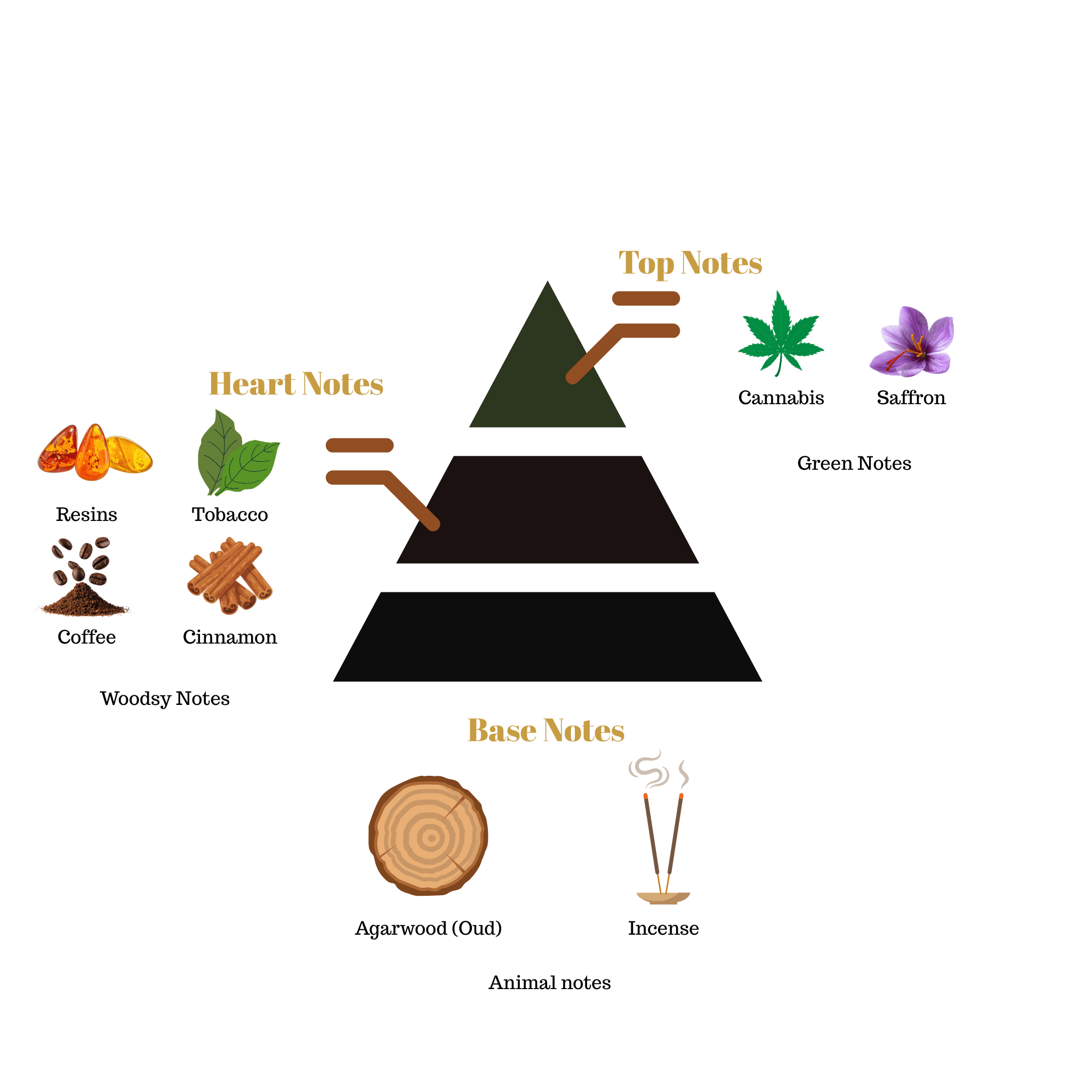 Fragrance note pyramid for Scentra No.70, inspired by Nasomatto Black Afgano, showing top, heart, and base notes