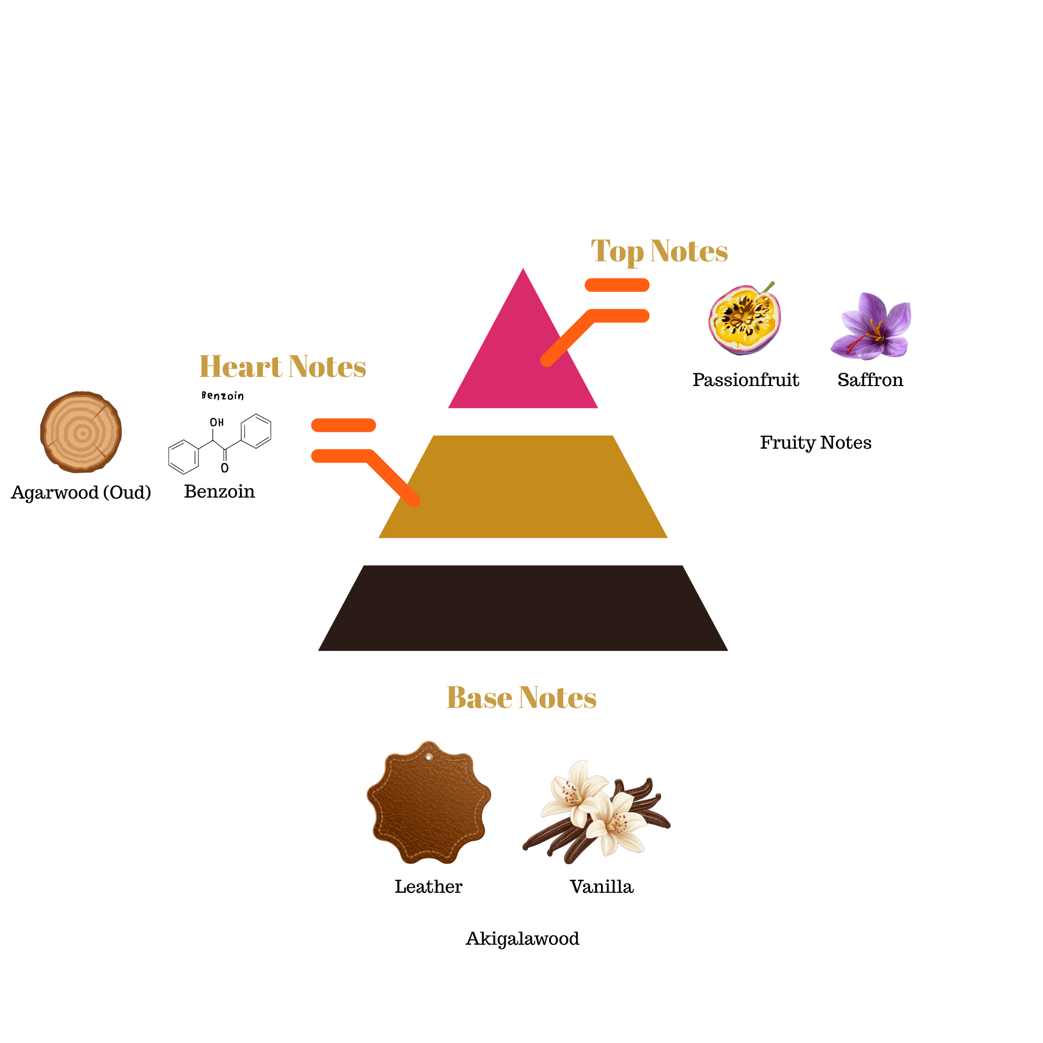 Fragrance note pyramid for Scentra No.71, inspired by Maison Crivelli Oud Maracujá, showing top, heart, and base notes