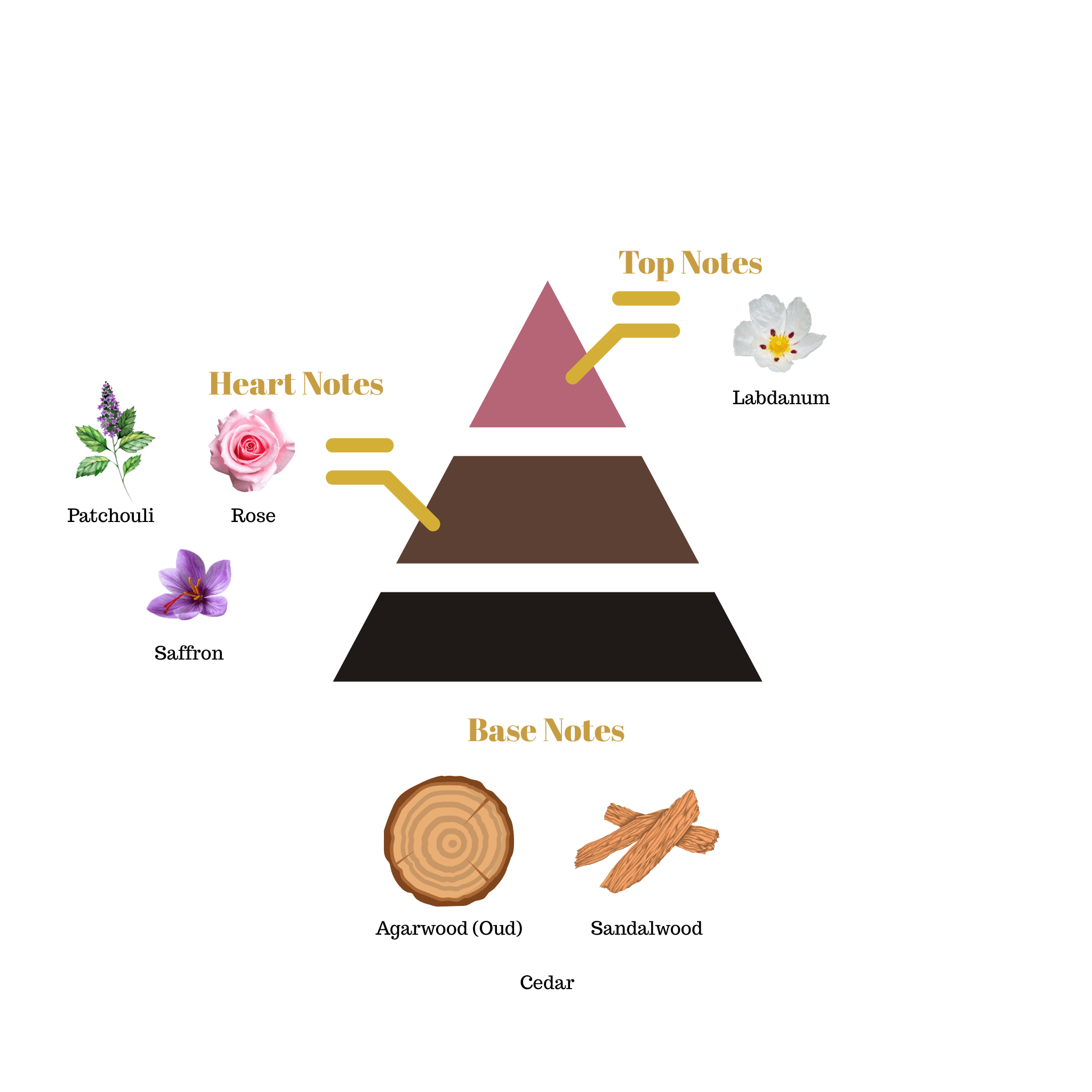 Fragrance note pyramid for Scentra No.72, inspired by Dior Oud Ispahan, showing top, heart, and base notes