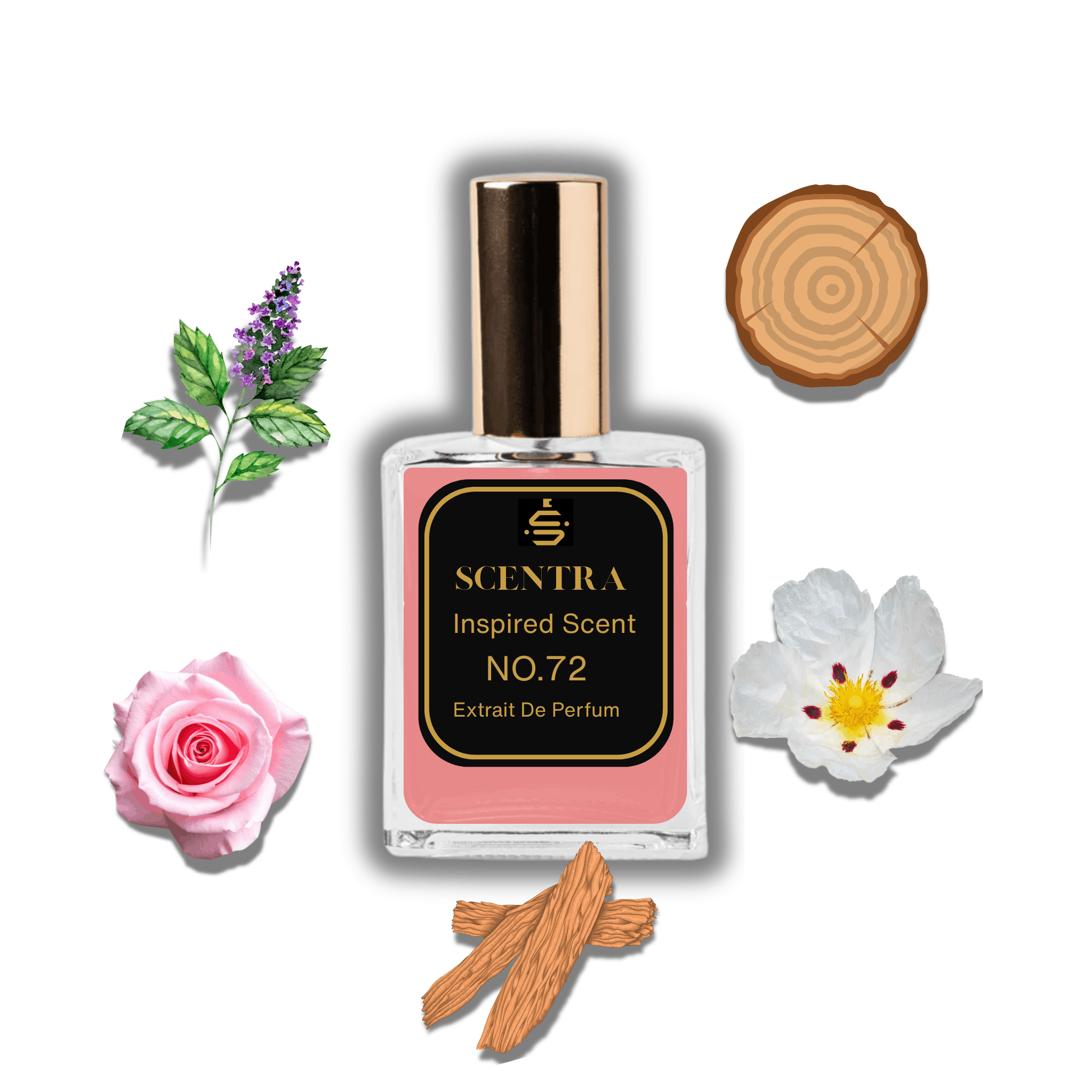 Scentra No.72 perfume bottle inspired by Dior Oud Ispahan surrounded by rose, patchouli, sandalwood, and labdanum flower