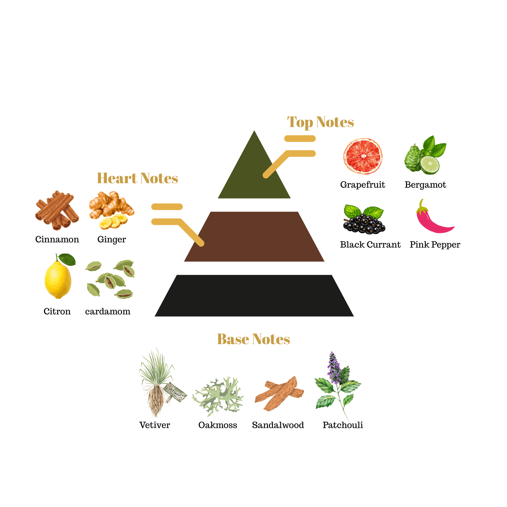 Fragrance note pyramid for Scentra No.73, inspired by Creed Absolu Aventus, showing top, heart, and base notes