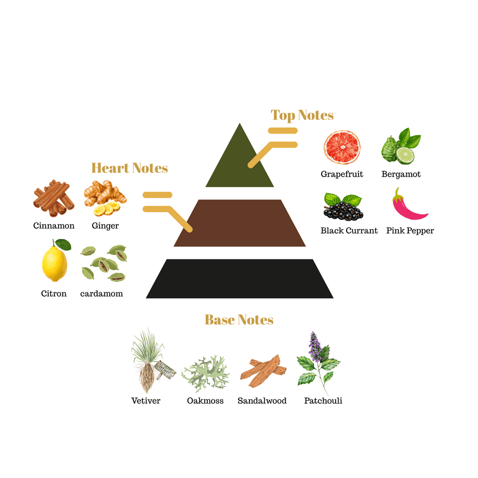 Fragrance note pyramid for Scentra No.73, inspired by Creed Absolu Aventus, showing top, heart, and base notes