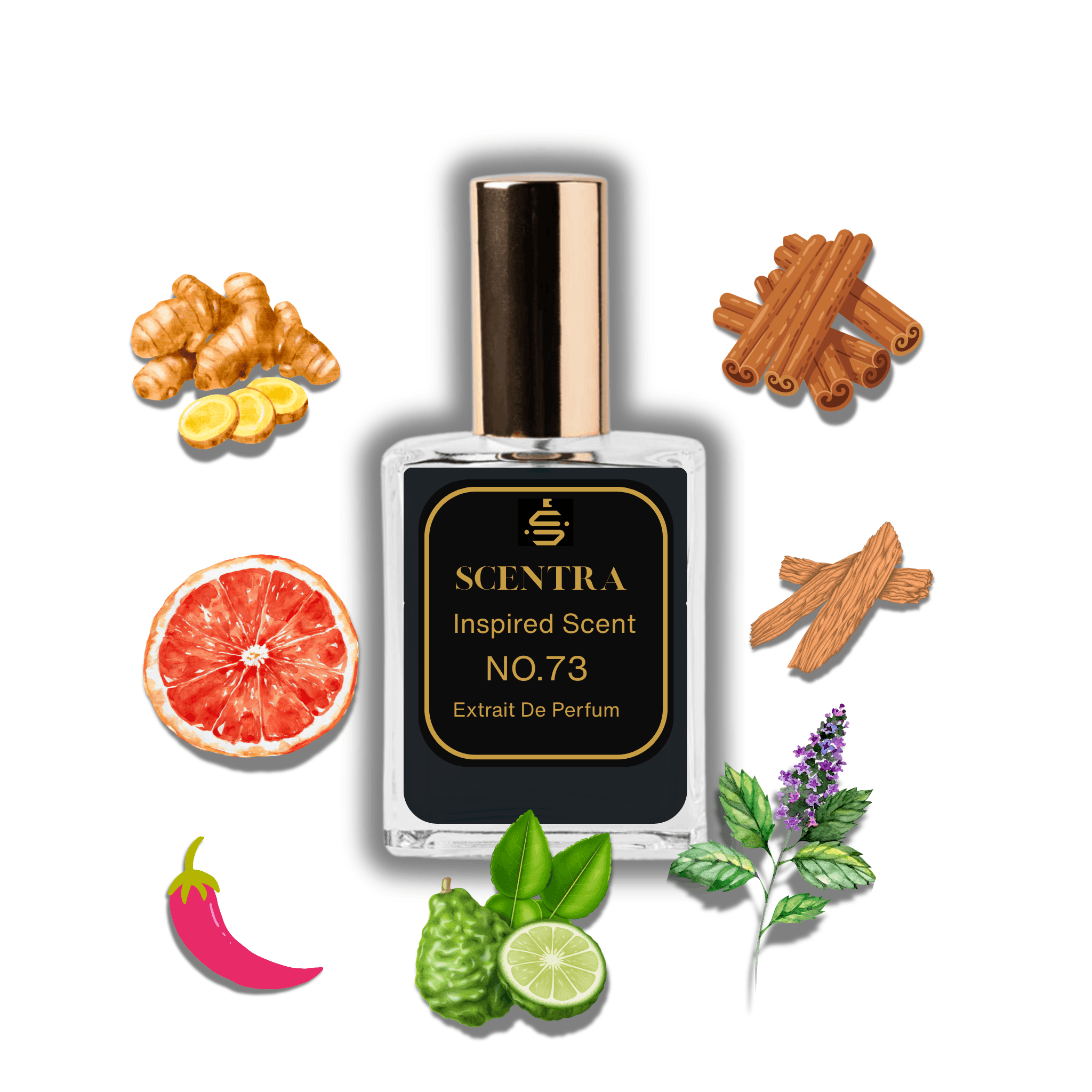 Scentra No.73 perfume bottle inspired by Creed Absolu Aventus surrounded by cinnamon, ginger, sandalwood, grapefruit, pink pepper, bergamot, and patchouli