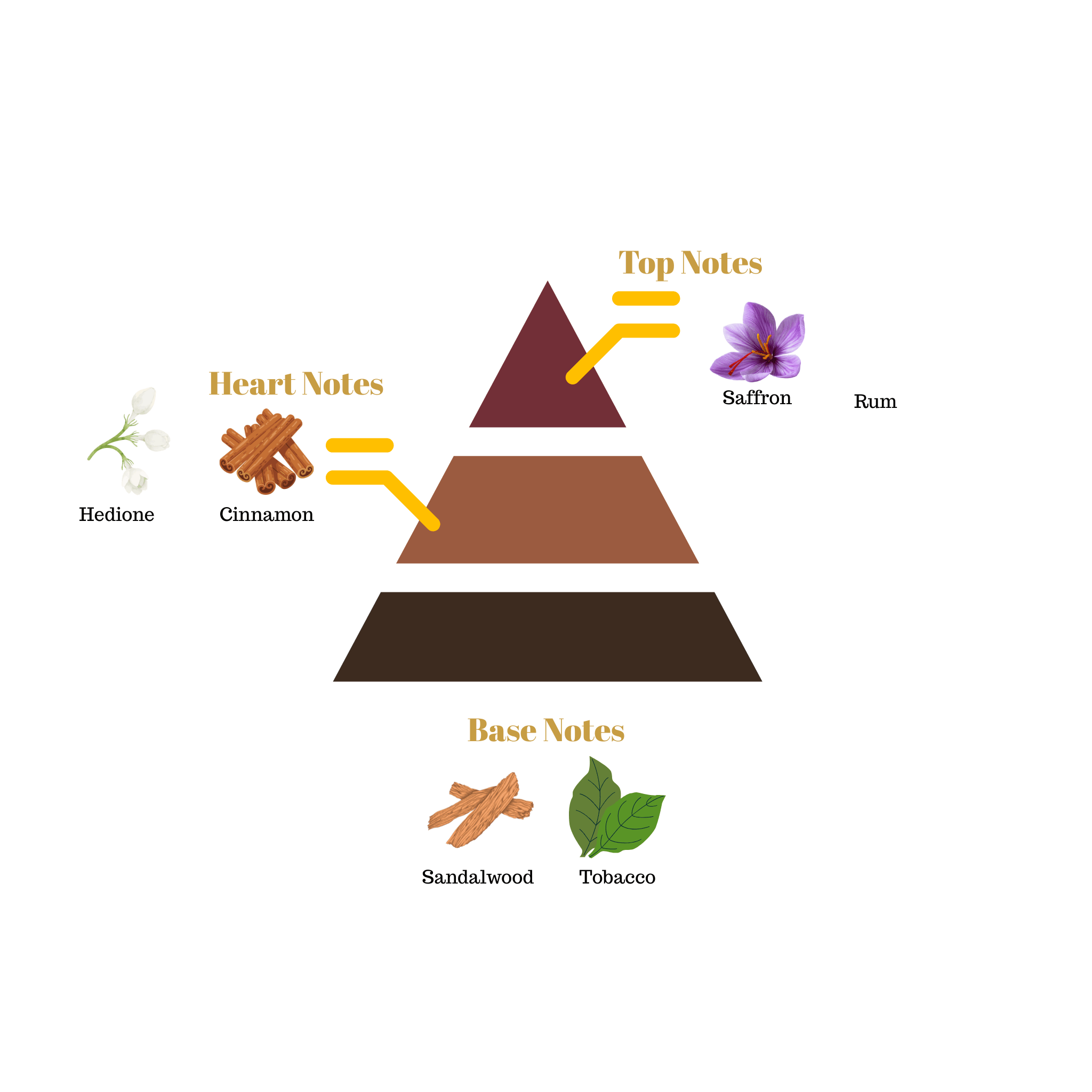 Fragrance note pyramid for Scentra No.74, inspired by Initio Parfums Privés Side Effect, showing top, heart, and base notes