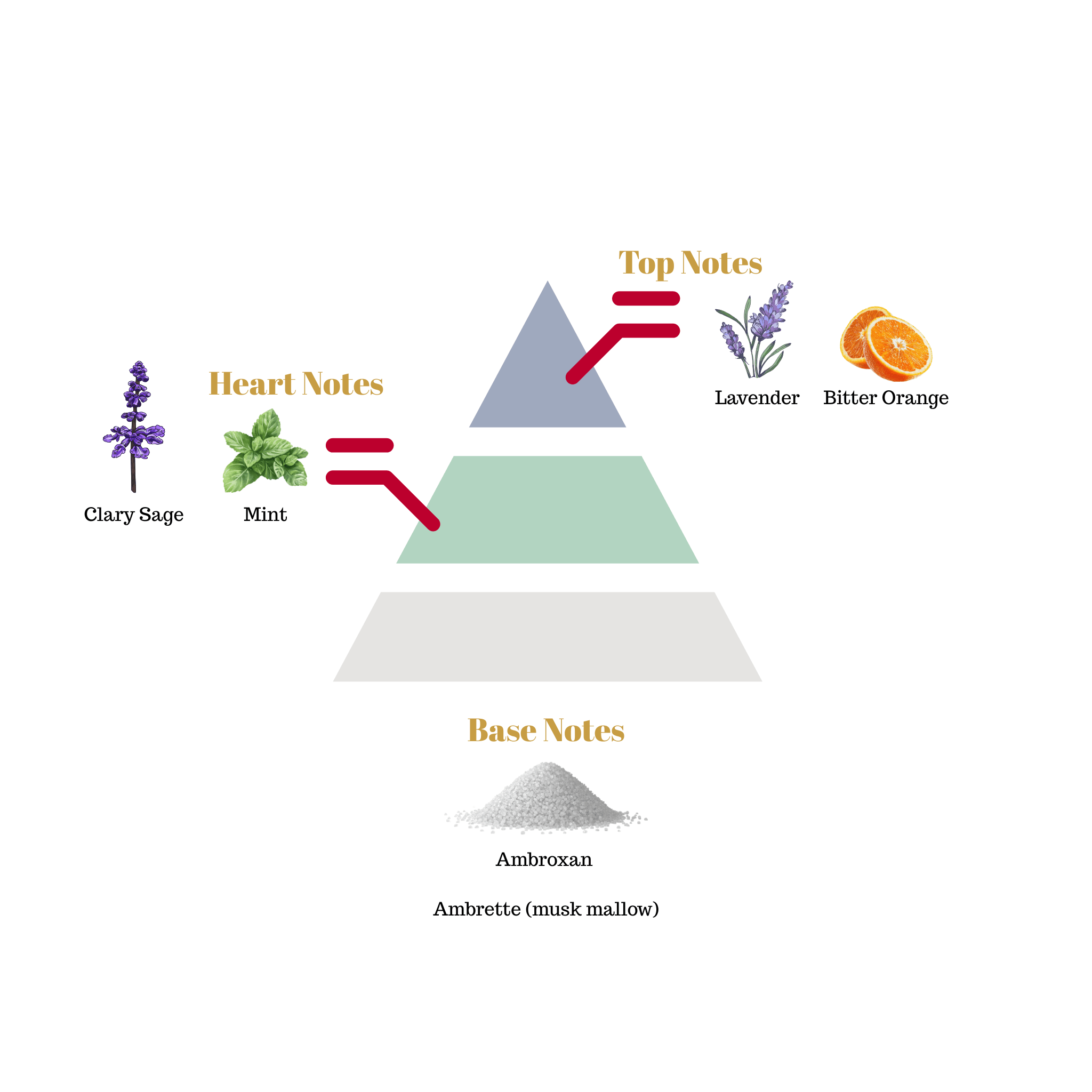 Fragrance note pyramid for Scentra No.75, inspired by Prada Luna Rossa, showing top, heart, and base notes