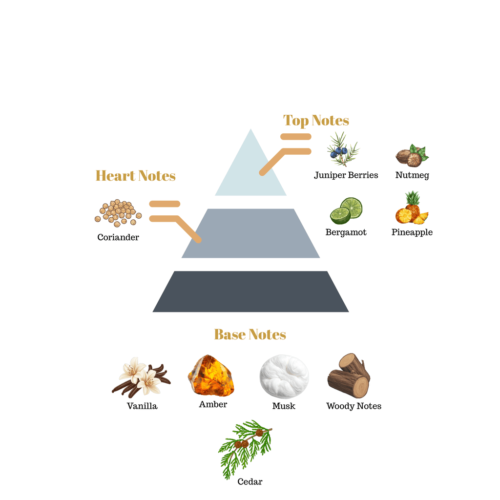 Fragrance note pyramid for Scentra No.96, inspired by Maison Francis Kurkdjian Gentle Fluidity Silver, showing top, heart, and base notes