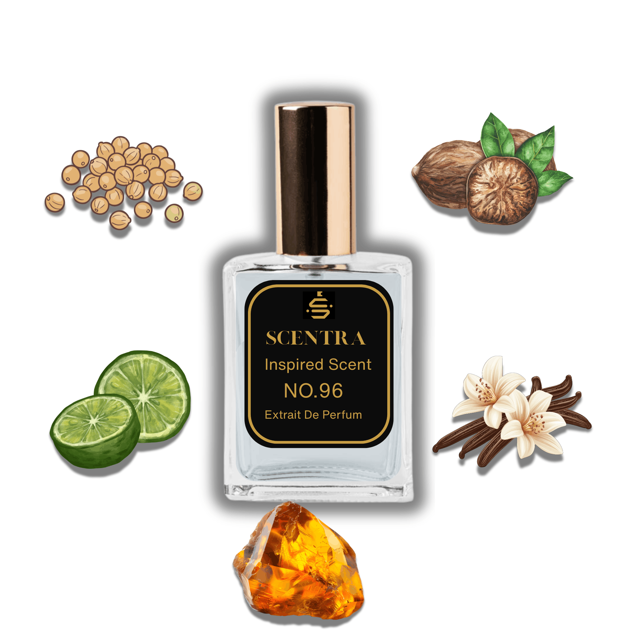 Scentra No.96 perfume bottle inspired by Maison Francis Kurkdjian Gentle Fluidity Silver surrounded by coriander, nutmeg, bergamot, vanilla, and amber