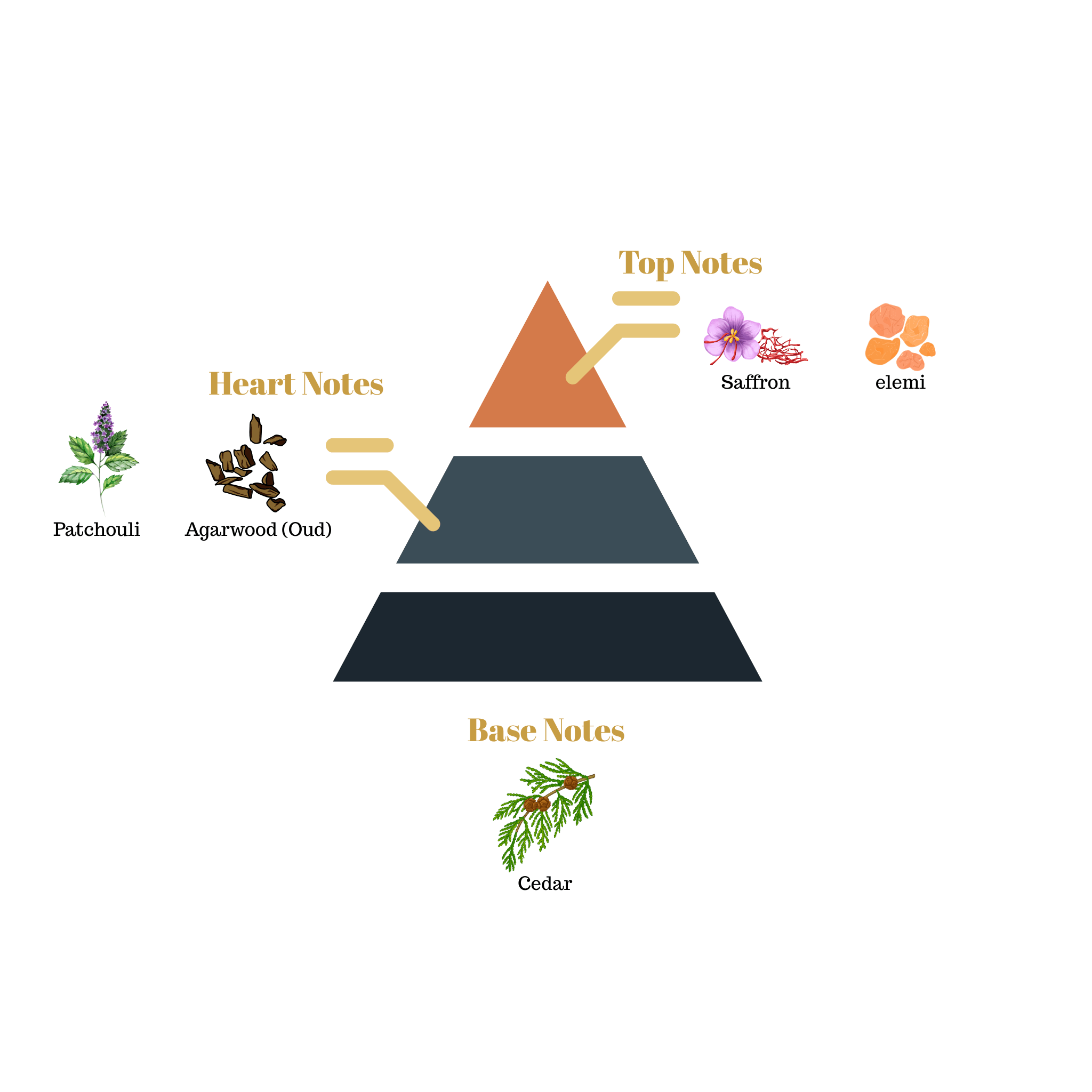 Fragrance note pyramid for Scentra No.98, inspired by Maison Francis Kurkdjian Oud, showing top, heart, and base notes