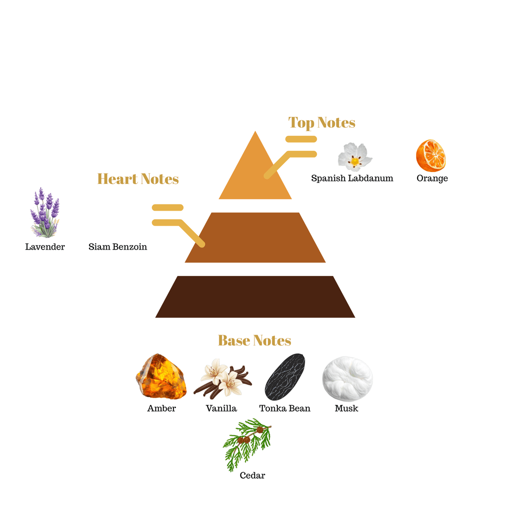 Fragrance note pyramid for Scentra No.99, inspired by Maison Francis Kurkdjian Grand Soir, showing top, heart, and base notes