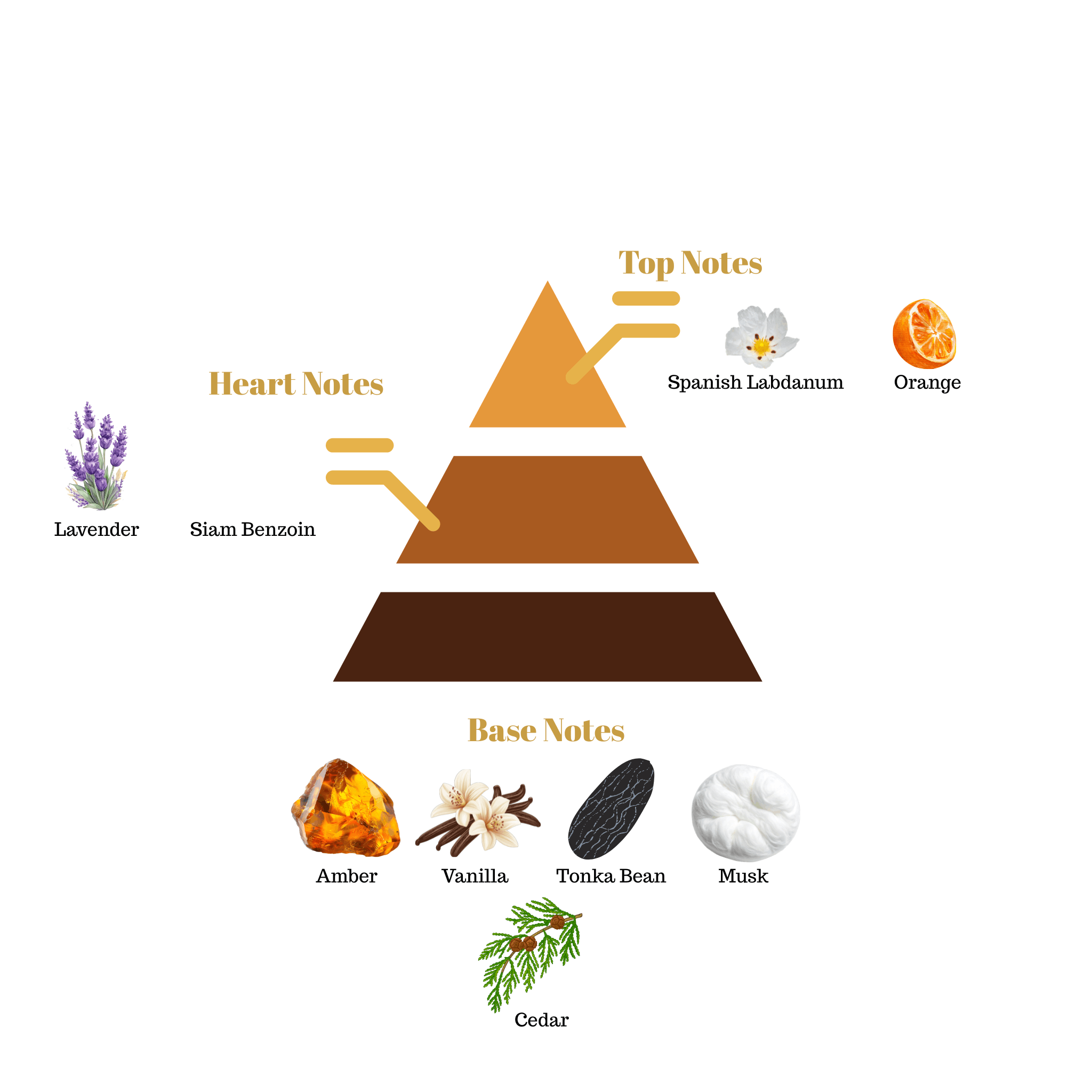 Fragrance note pyramid for Scentra No.99, inspired by Maison Francis Kurkdjian Grand Soir, showing top, heart, and base notes