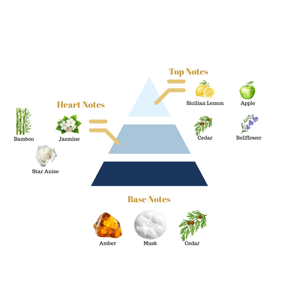 Fragrance note pyramid for Scentra No.i50, inspired by Dolce & Gabbana Light Blue, showing top, heart, and base notes